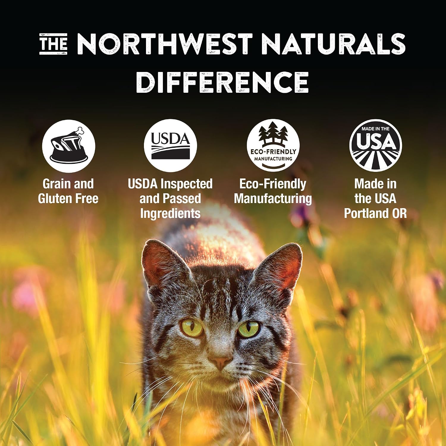 Northwest Naturals Freeze-Dried Turkey Cat & Kitten Food – Bite-Sized Nibbles – Healthy, Limited, Human-Grade Ingredients, All-Natural, High-Protein Raw Diet – Complete & Balanced, Made in USA, 11 oz
