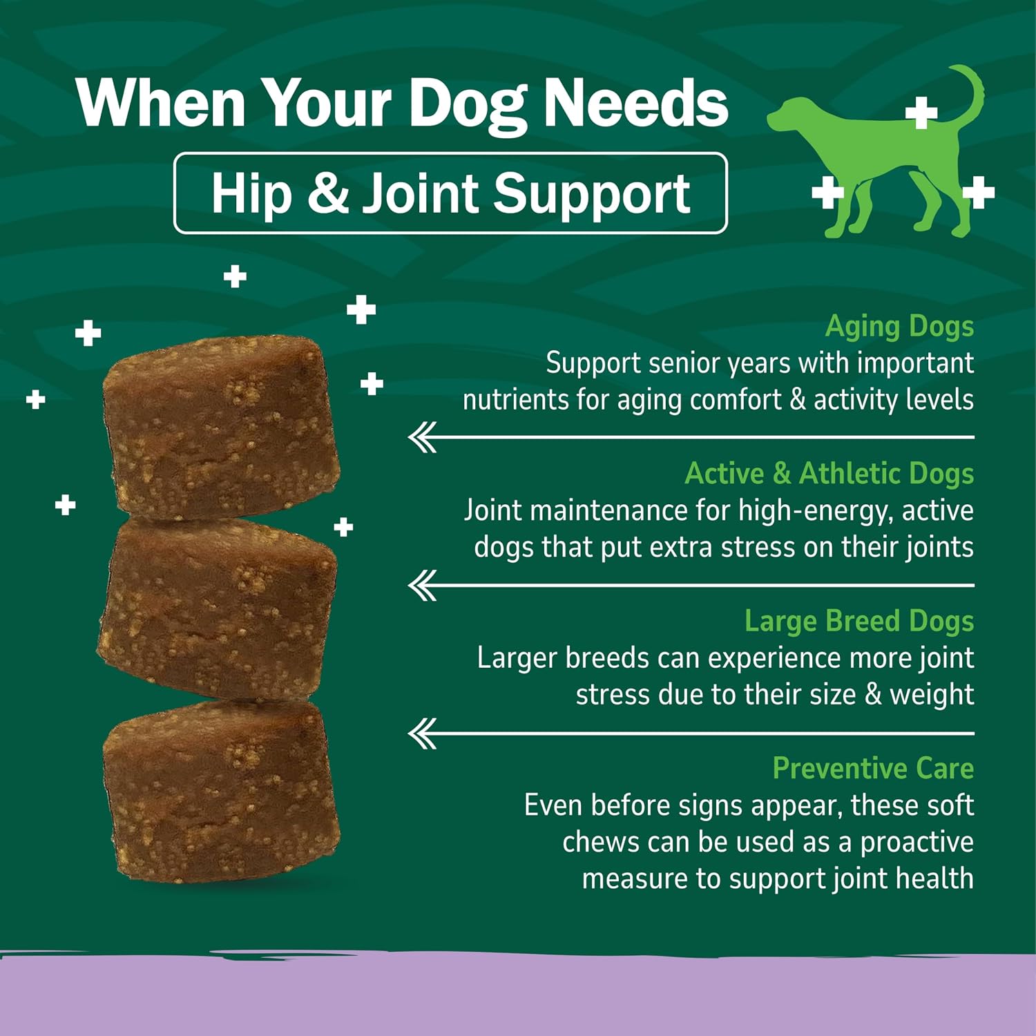 PetNC Natural Care Hip and Joint Soft Chews for Dogs, 90 Count - 27591 | Glucosamine Chondroitin MSM Dog Chews with Hyaluronic Acid, Liver Flavored Bone & Joint Support Supplement, For All Breeds
