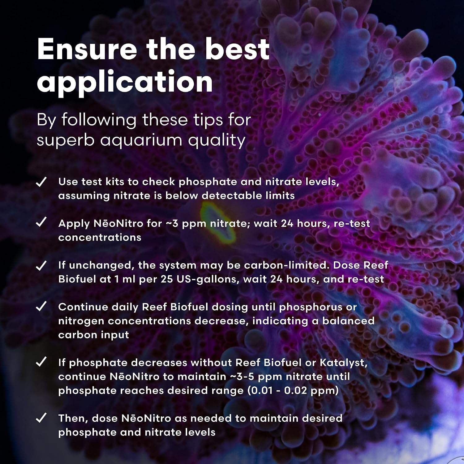Brightwell Aquatics NēoNitro Nitrate Supplement for Reef Aquariums, 2L