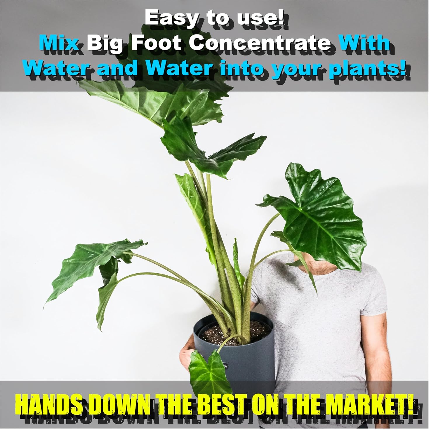 Big Foot Mycorrhizae for Plants, Potted Plants and Gardens - Concentrate Fully Dissolves in Water, Year Round Organic Fertilizer for Root Growth and Healthy Soil - 32 Ounces of Mycorrhizal Inoculant