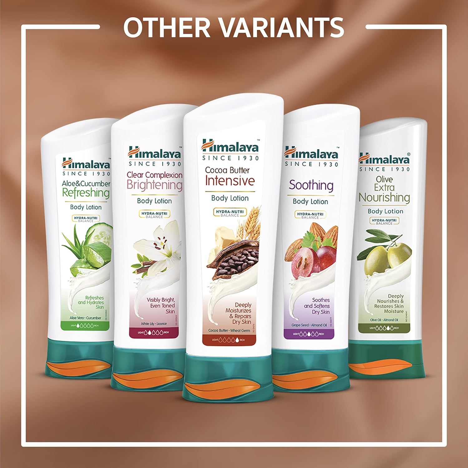 Himalaya Cocoa Butter Intensive Body Lotion, 13.53 oz (400 ml) | Deep Moisturising Cocoa Butter Lotion Formula For Extra Dry Skin & Long-Lasting Hydration