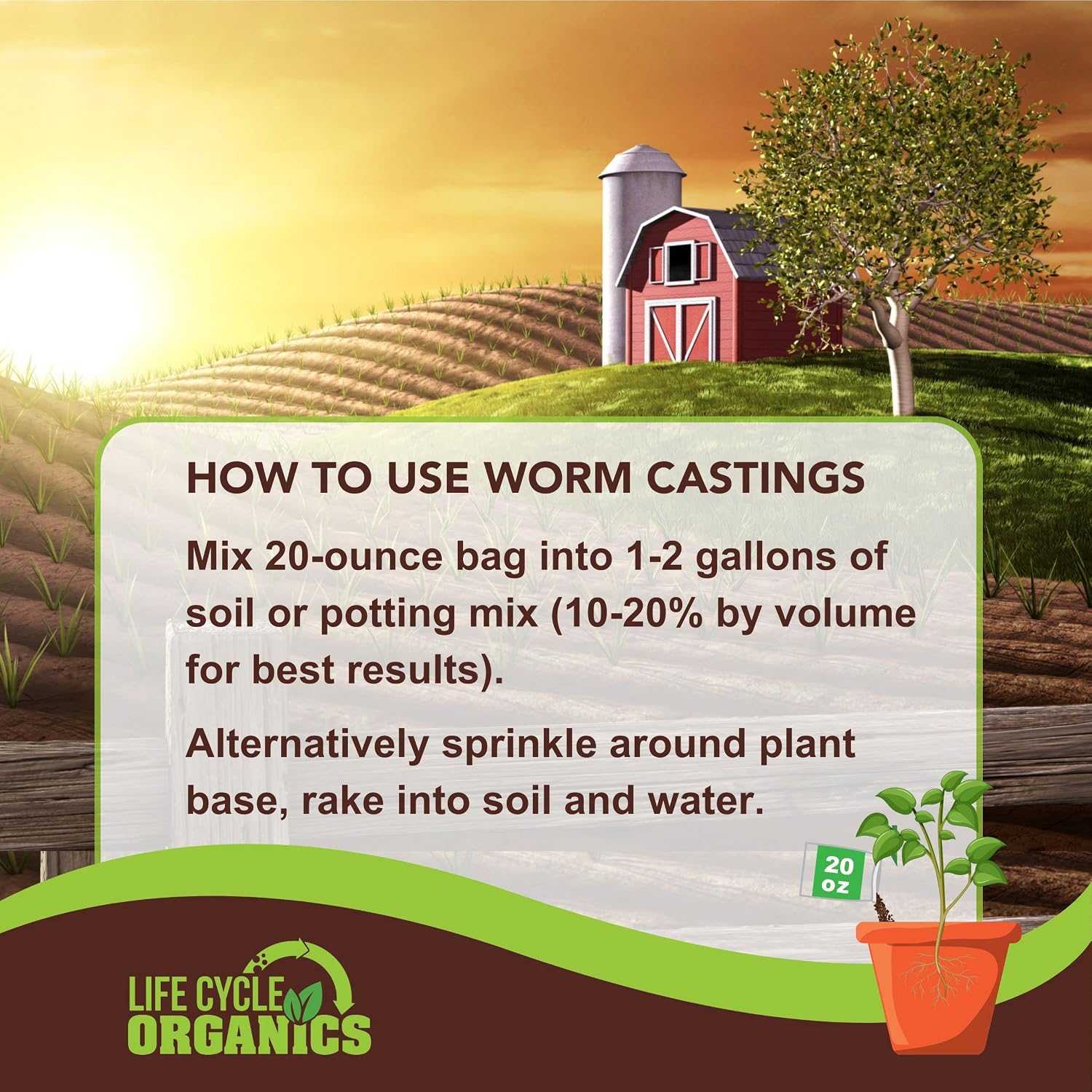 20 oz 100% Organic Worm Castings – Natural Superfood for Plant Growth, Root Development & Growing Healthier