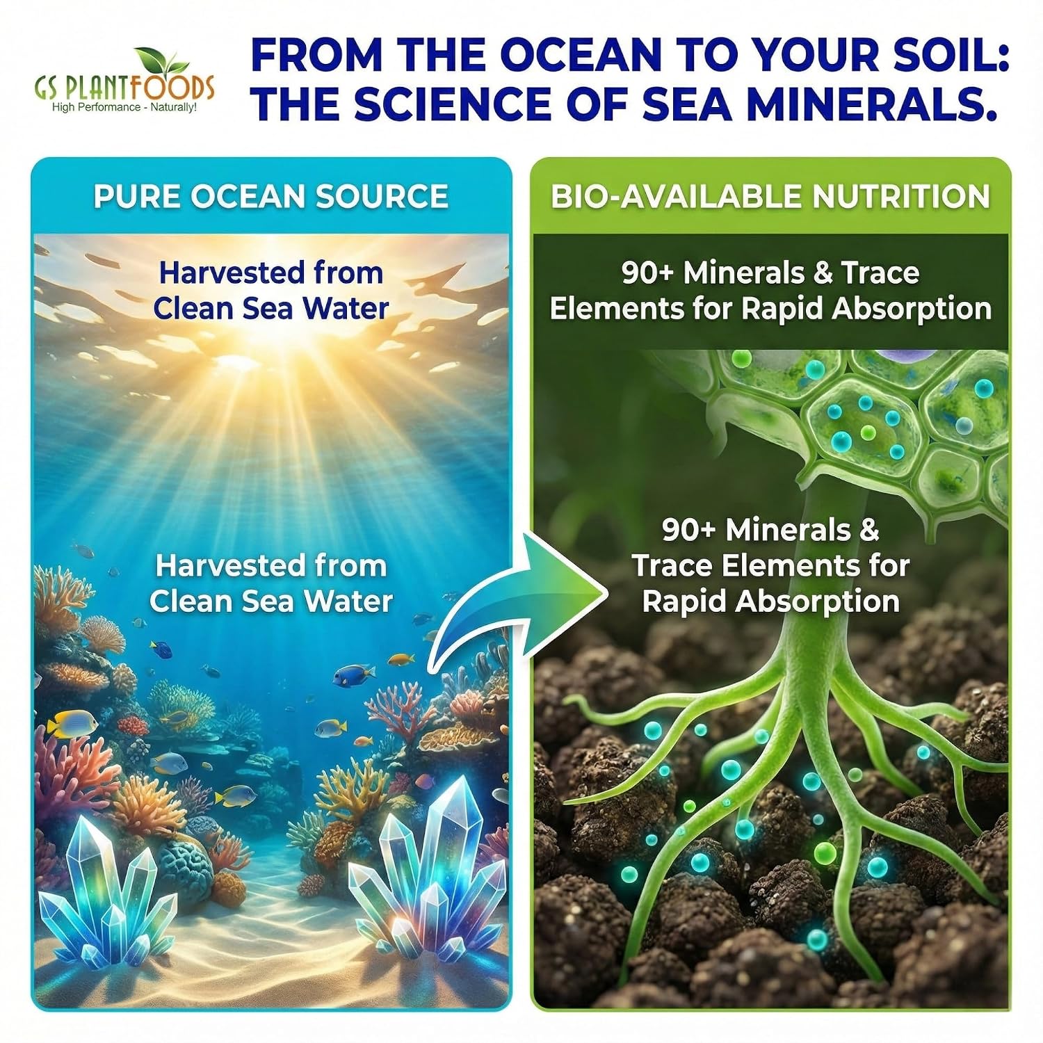 Ocean Magic Sea Mineral Fertilizer by GS Plant Foods(1 Gallon) - Soil Mineral Health Improvement Liquid Concentrate - Sea Minerals for Lawn and Turf, Gardens & House Plants