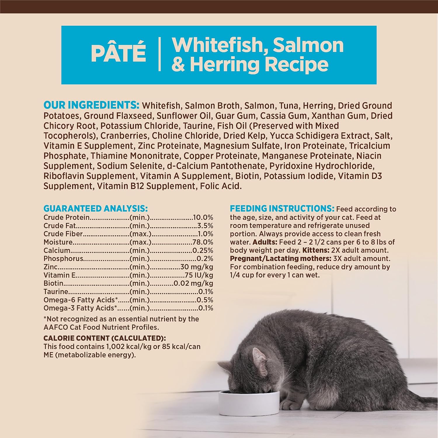 Wellness CORE Pate Adult Canned Wet Cat Food, Natural, Protein Rich, Grain Free, Turkey and Duck Recipe, 3 oz, Pack of 12 Cans