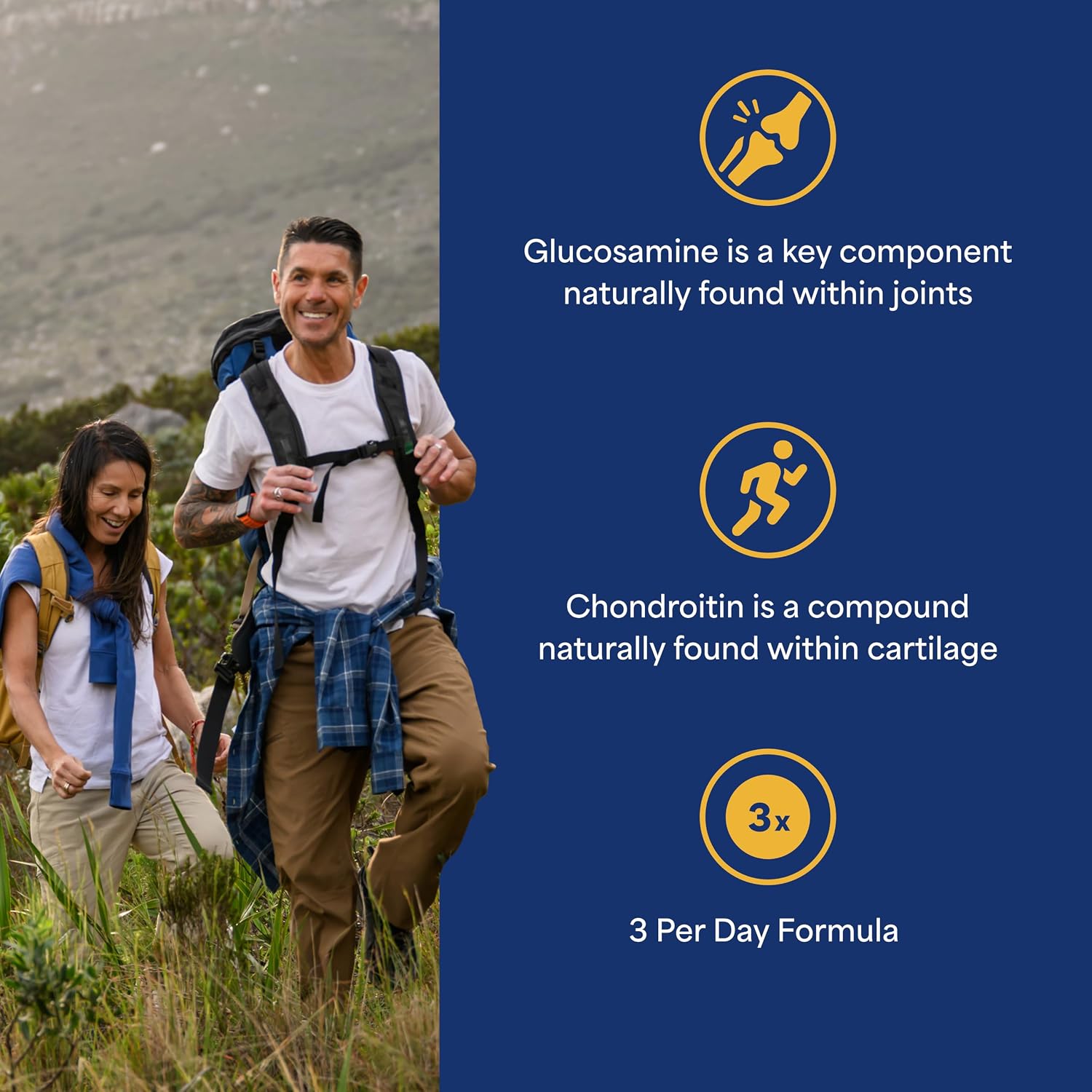 Puritan's Pride Glucosamine Chondroitin MSM Dietary Supplement