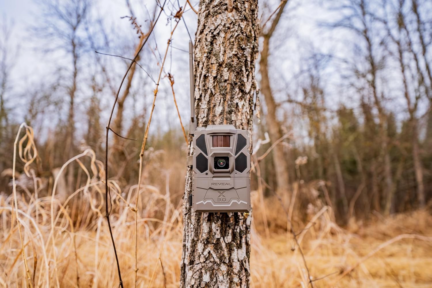 TACTACAM Reveal X 3.0 Cellular Trail Camera, Night Vision, Waterproof | 4K photo, 1080p video, auto-connect multi-carrier LTE, no SD card needed