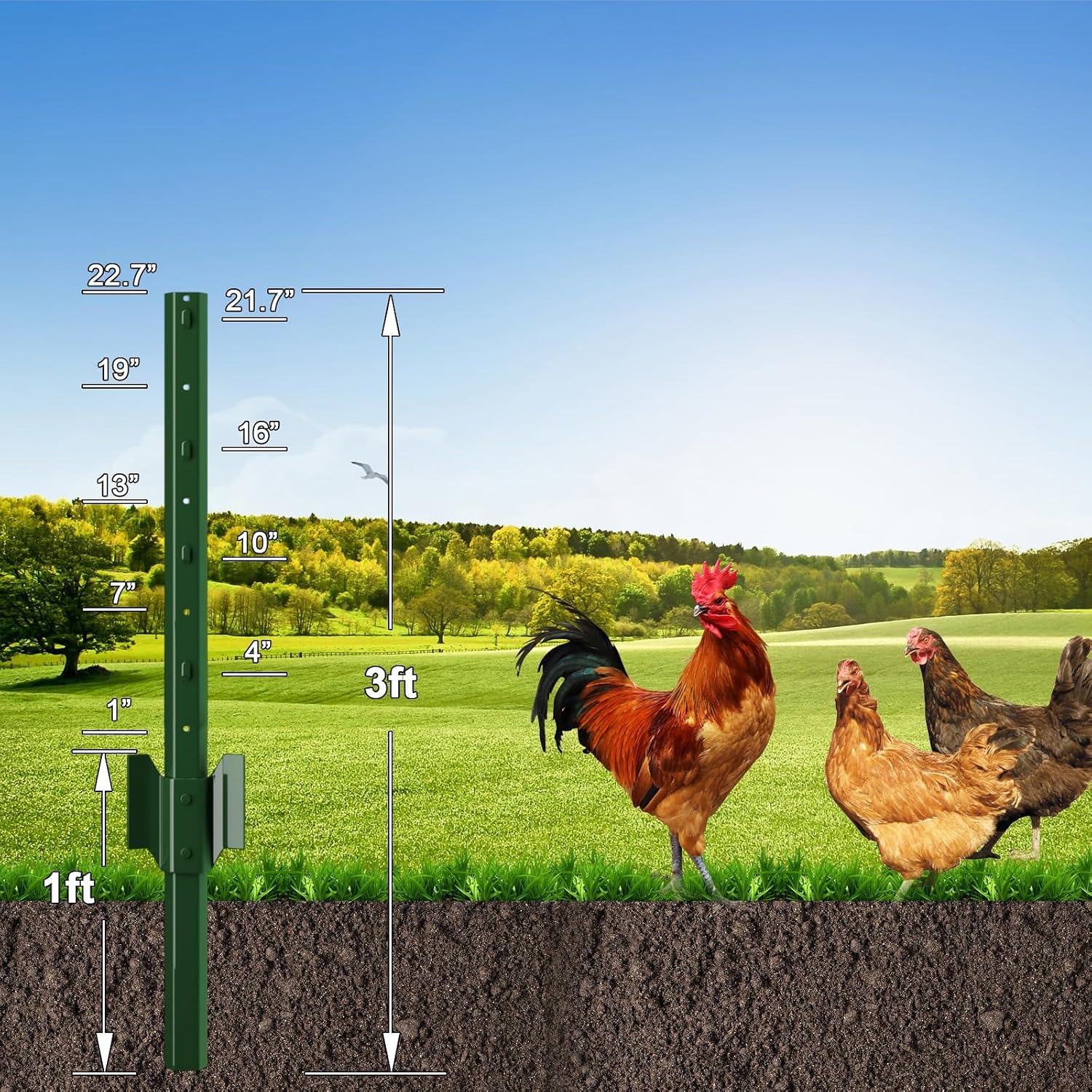 Amagabeli Chicken Wire Fencing Poultry Wire Netting 36inch x 50ft 2 Inch Hexagonal Galvanized Mesh Garden Fence Animal Barrier for Garden Protection Craft Rabbit Cage Dog Roll Chicken Coop Accessories