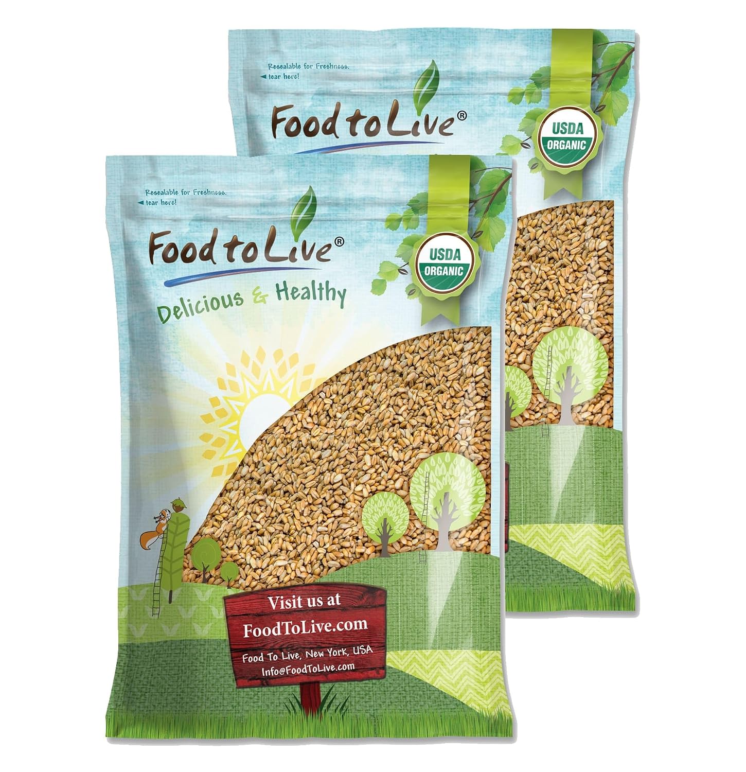 Food to Live Organic Hulled Barley, 15 Pounds – Non-GMO, 100% Whole Grain, Kosher, Vegan, Bulk. Suited for Home Brewing, Grinding. High in Fiber. Great for Chili, Hot Cereal, Salads, Soup.