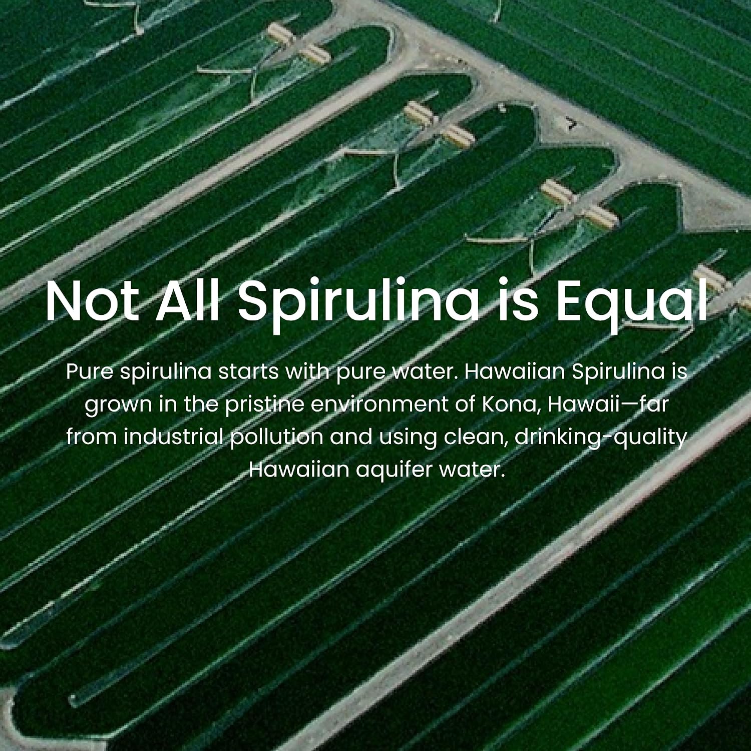 Nutrex Hawaii Pure Hawaiian Spirulina Tablets, Vegan, 500 mg, 400 Count | Spirulina Farm Grown in Kona, Hawaii, Non-GMO, Glyphosate Residue Free, 3rd Party Tested, 60% Protein, Superfood Supplement