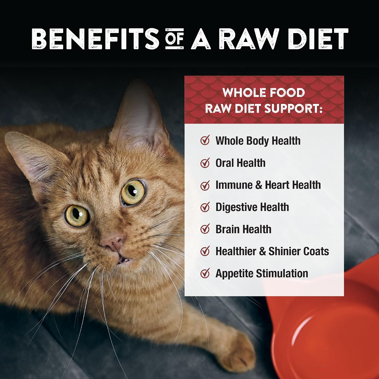 Northwest Naturals Freeze-Dried Turkey Cat & Kitten Food – Bite-Sized Nibbles – Healthy, Limited, Human-Grade Ingredients, All-Natural, High-Protein Raw Diet – Complete & Balanced, Made in USA, 11 oz