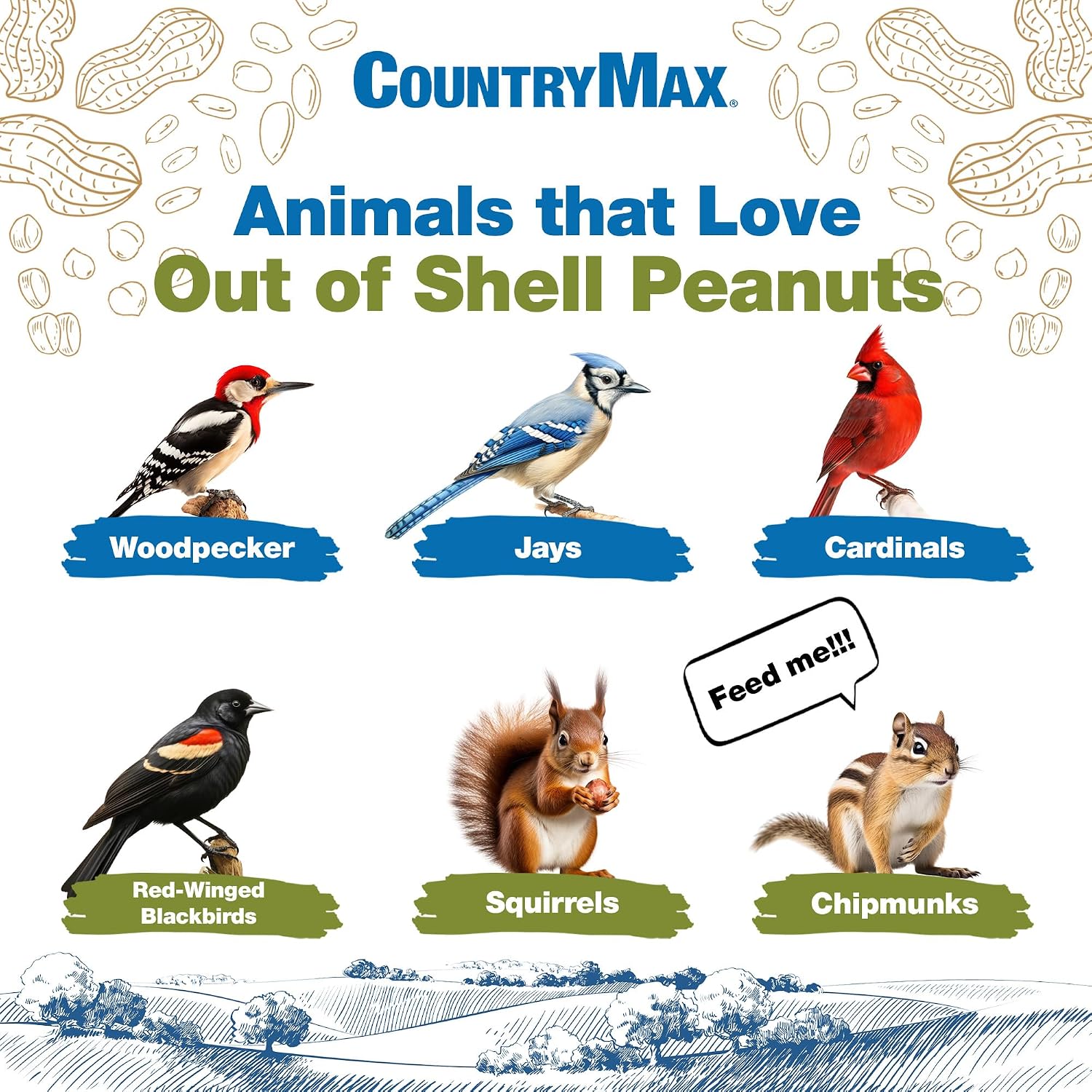 CountryMax Backyard Seeds Shelled Whole Peanuts for Woodpeckers, Birds, Squirrels & Wildlife – Premium Wild Animal Food, 10 lbs Bag