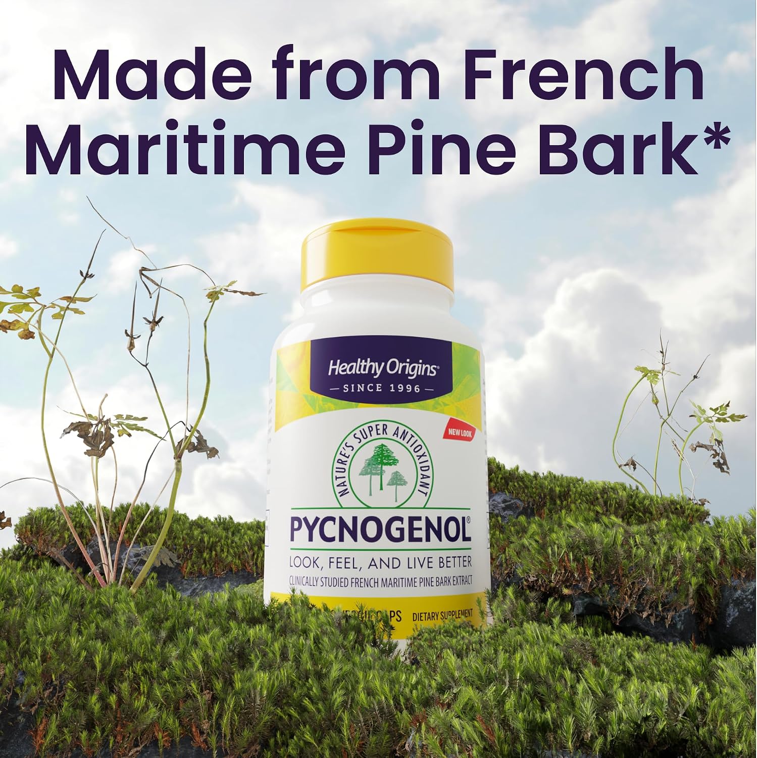 Healthy Origins Pycnogenol Pine Bark 150 mg, 60 Veggie Caps