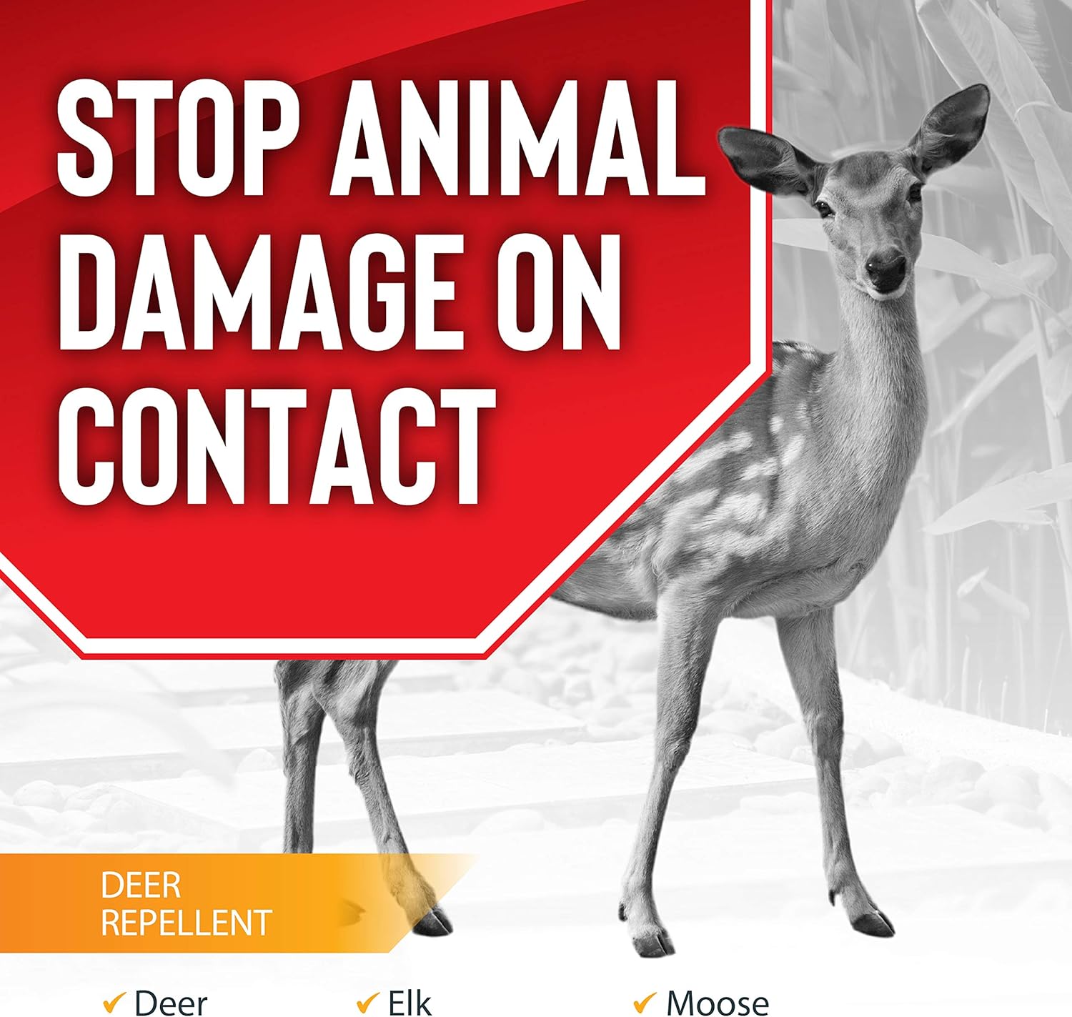 Deer Stopper II - Moose, Elk & Deer Repellent Spray for Gardens