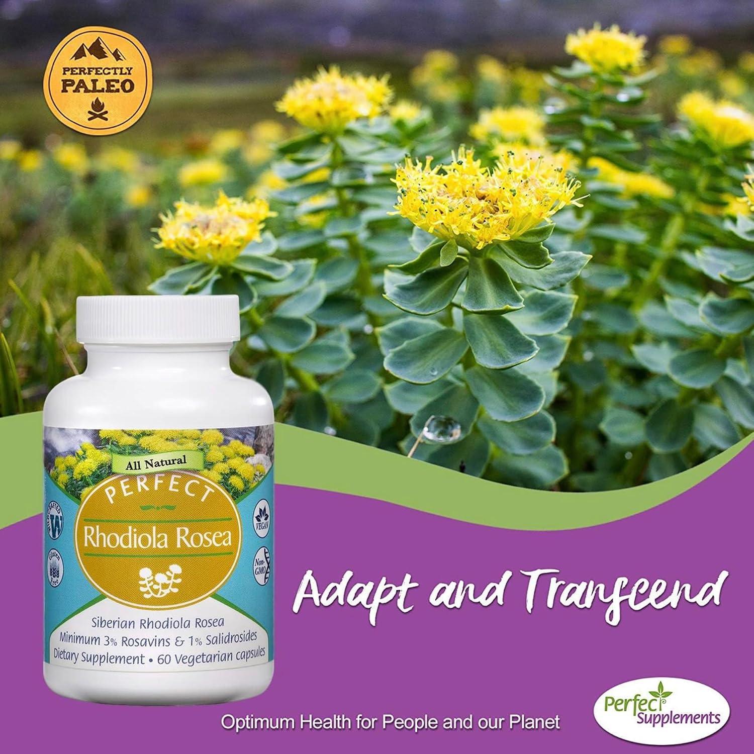 Perfect Supplements Rhodiola Rosea, for Better Focus, Energy, and Stress Relief, Optimal 3% Rosavins to 1% Salidroside Ratio, a Natural Adaptogen ~60 Vegetable Capsules