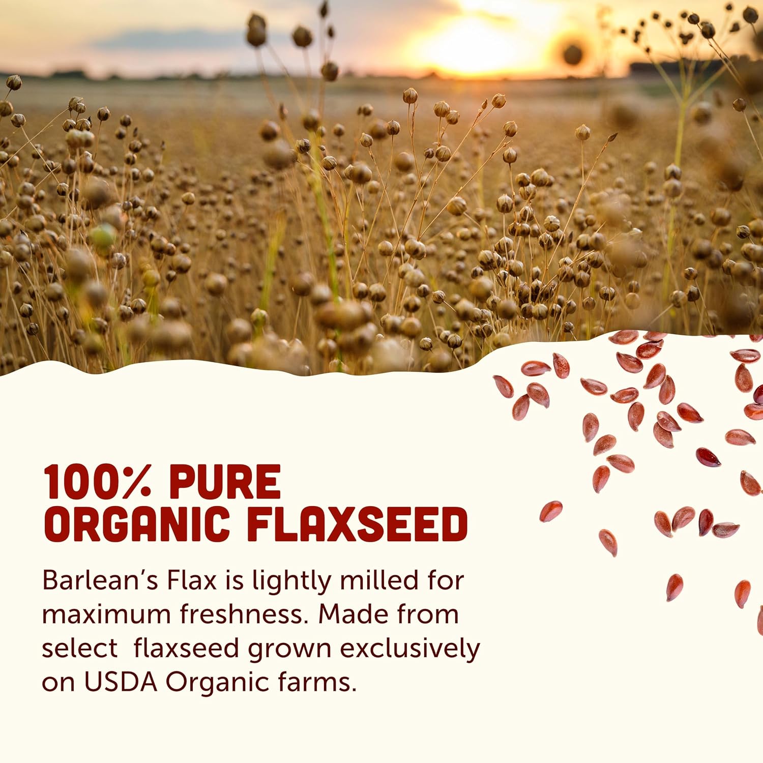 Barlean's Forti-Flax Organic Ground Flaxseed, Omega-3 Fiber, 16oz, 2-Pack | Ground whole raw flax seeds, Lignans, ALA omega-3, Fiber, Non-GMO, Vegan, For smoothies, baking, oatmeal & yogurt