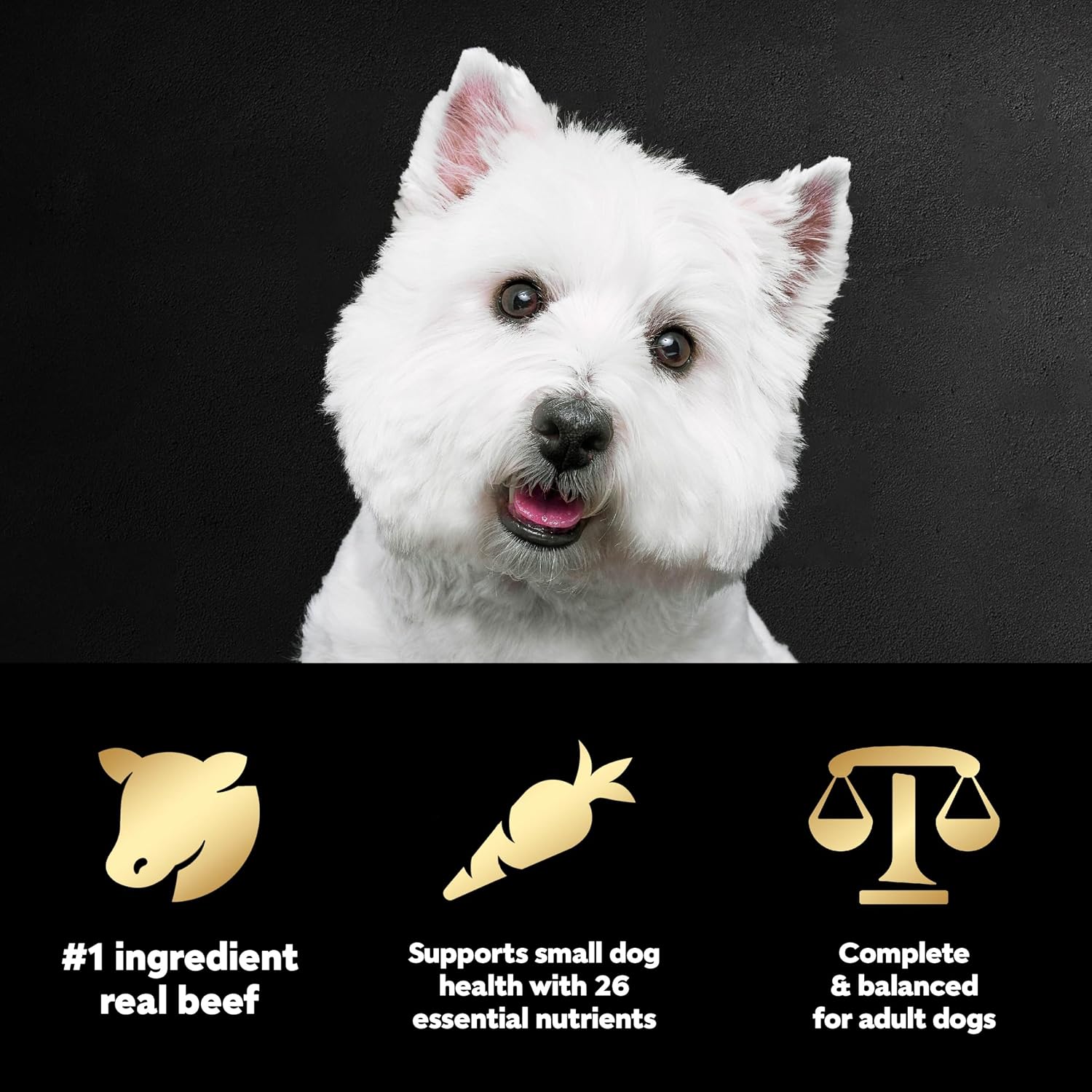 Cesar Small Breed Dry Dog Food, Chicken & Spring Vegetables Flavor, 5 lb | Made in USA, Real chicken #1 ingredient, 26 essential nutrients, supports small breed health, no artificial flavors