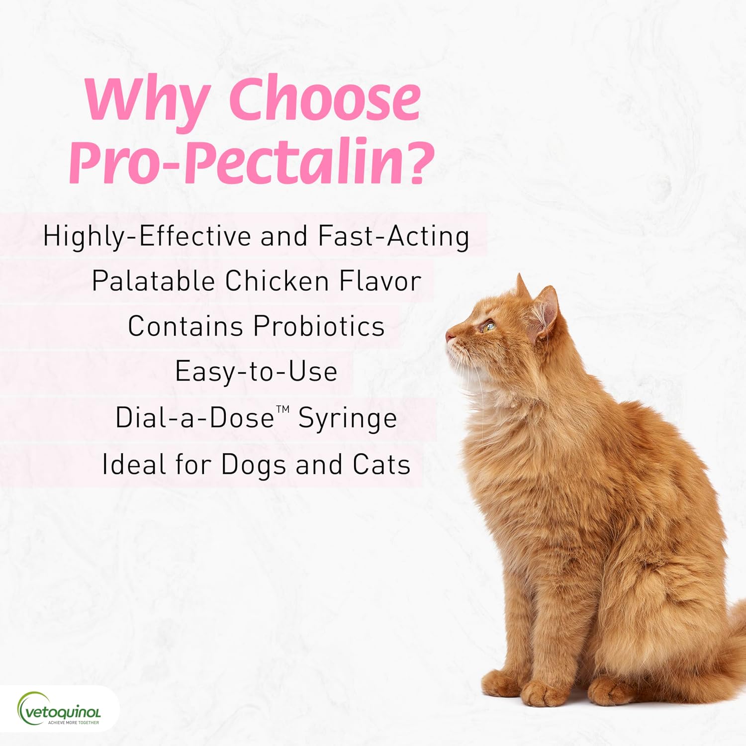 Vetoquinol Pro-Pectalin Oral Paste for Dogs & Cats – Chicken Flavor – Helps Reduce Occasional Loose Stool & Diarrhea, Balance Gut pH, Support Normal Digestion & Intestinal Flora - 30 cc