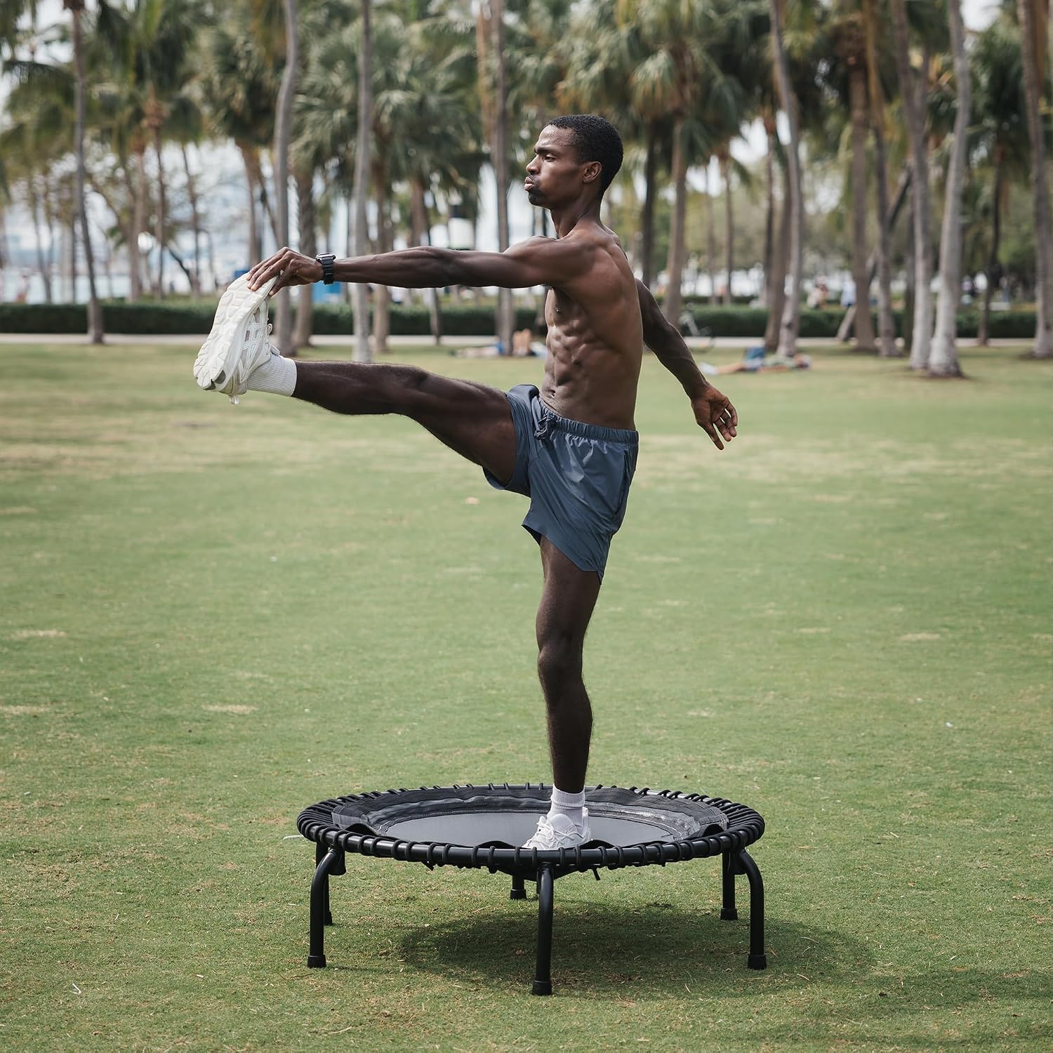 JumpSport 550 Workout Rebounder for Adults, 44" | PRO CE | Mini Exercise Fitness Trampoline Jumper with Cables | Black
