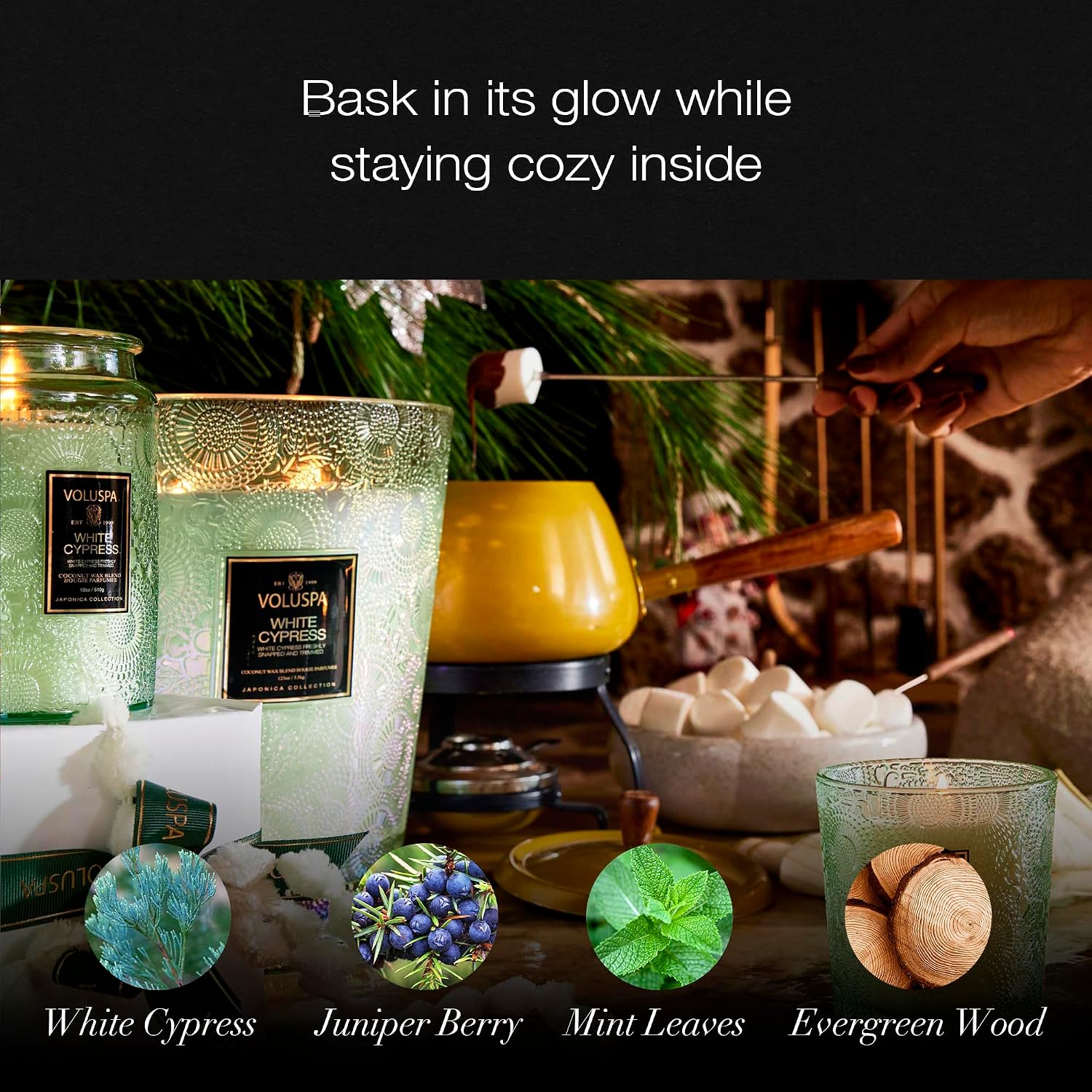 Voluspa Baltic Amber, Small Candle Jar, 5.5 oz, 50 Hour Burn Time, Coconut Wax for Clean Burning, Handcrafted in the USA