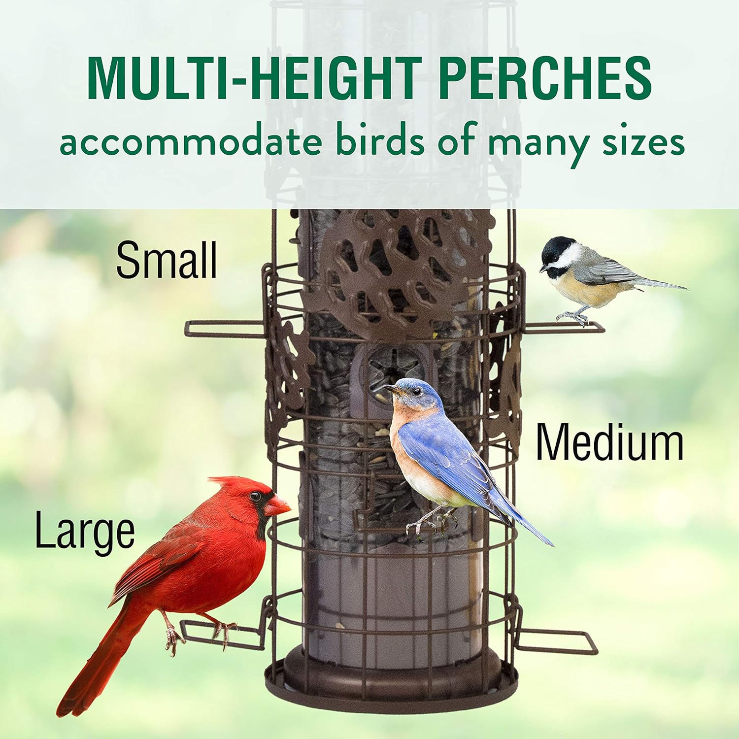 Perky-Pet Squirrel-Be-Gone Max Pinecone Bird Feeder with Flexports – 1.75 lb Capacity
