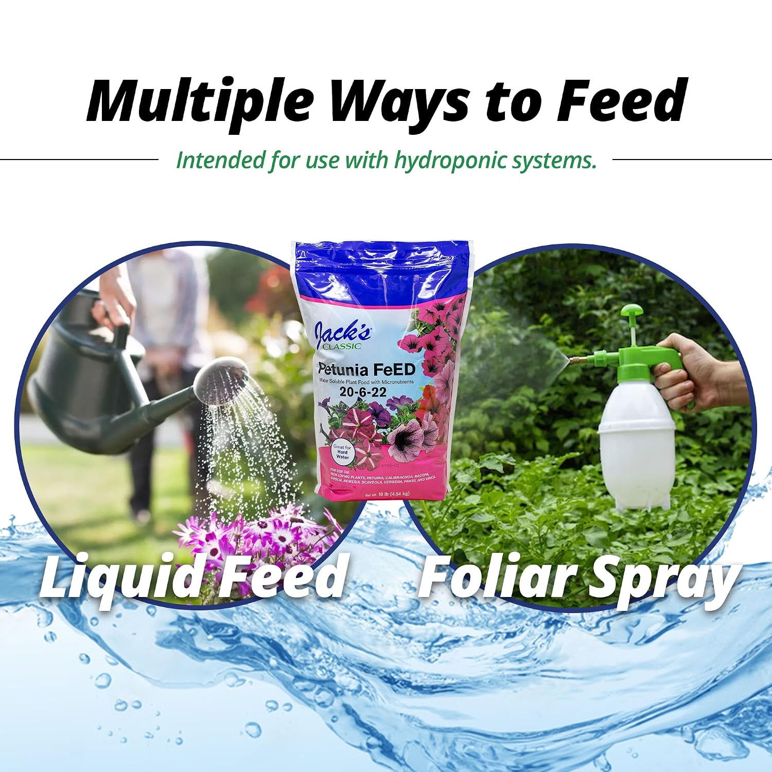 Jack's Classic 20-6-22 Petunia Feed Water-Soluble Fertilizer, 4lb | Powdered, Targeted Micronutrient Package, Promotes Lush Green Iron-Loving Plants and Annuals, Liquid Root & Foliage Feeding