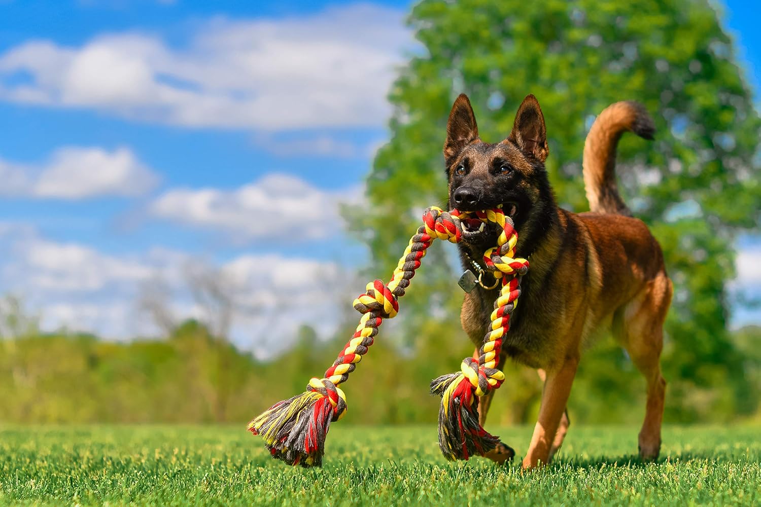 Mammoth Flossy Chews Color Rope Tug – Premium Cotton-Poly Tug Toy for Dogs – Interactive Dog Rope Toy – Tug Dog Chew Toy