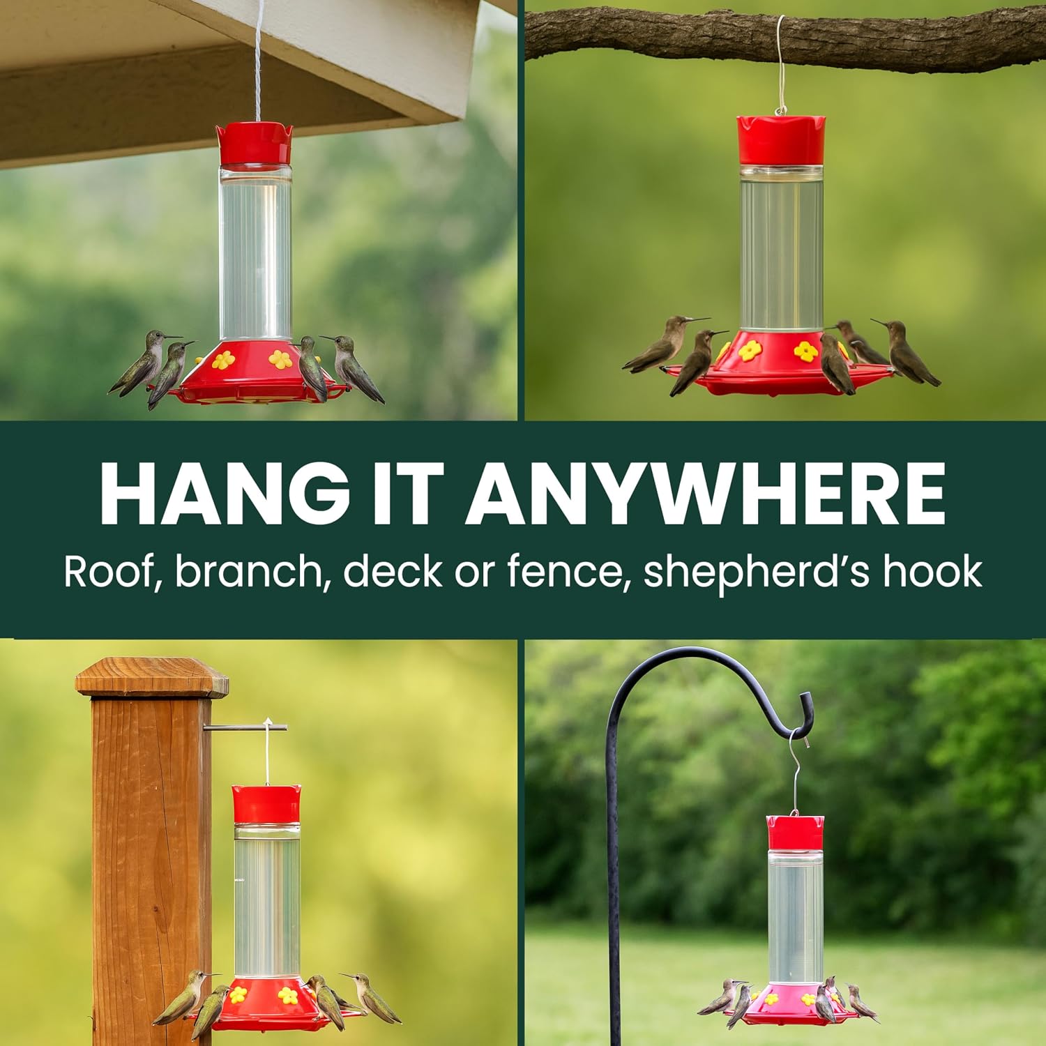 Perky-Pet 209B-1SR Glass Hummingbird Feeders for Outdoors Hanging - 30 fl oz Nectar Capacity - Ant & Bee Guarded Red Bird Feeder