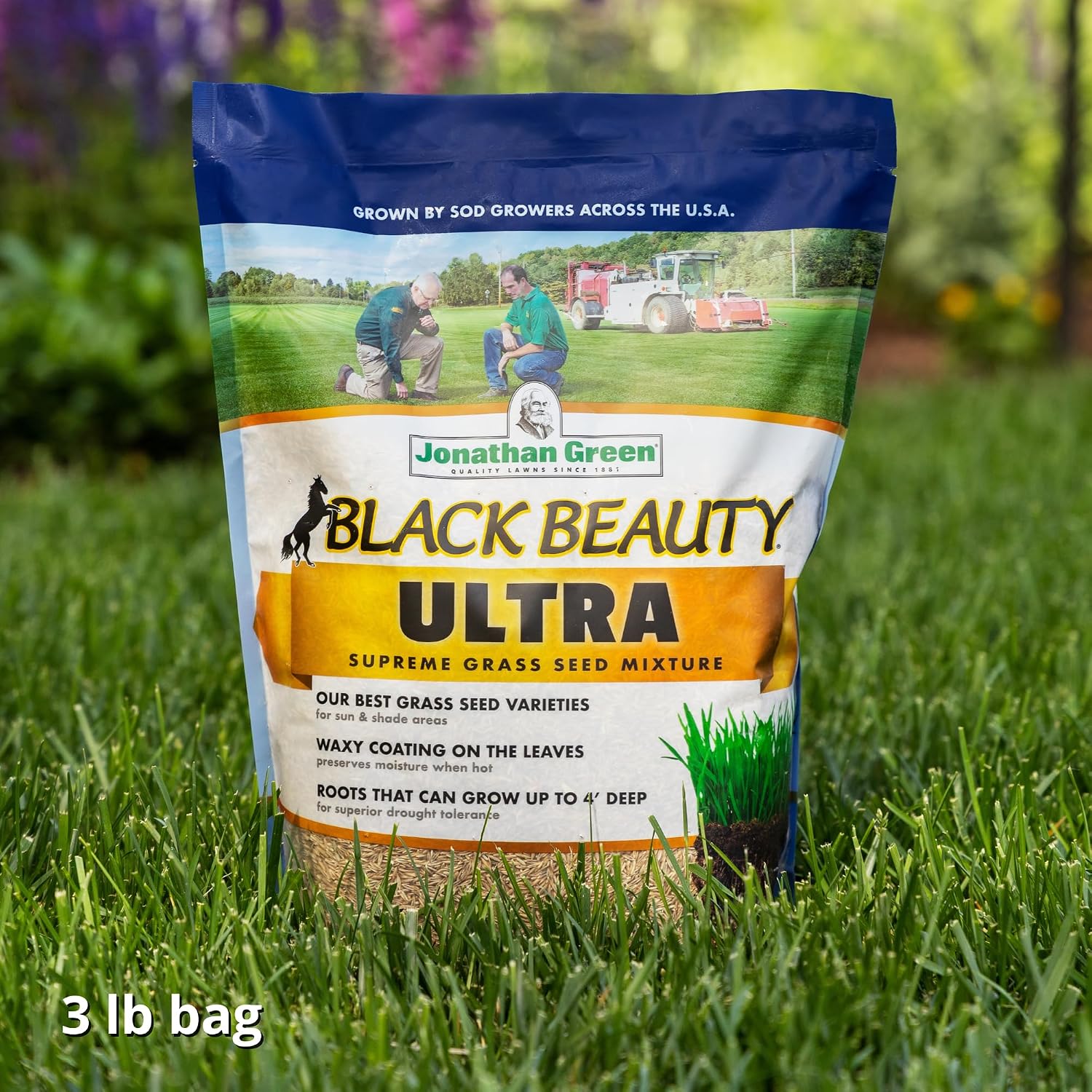 Jonathan Green (10323) Black Beauty Ultra Grass Seed - Cool Season Lawn Seed (25 lb)