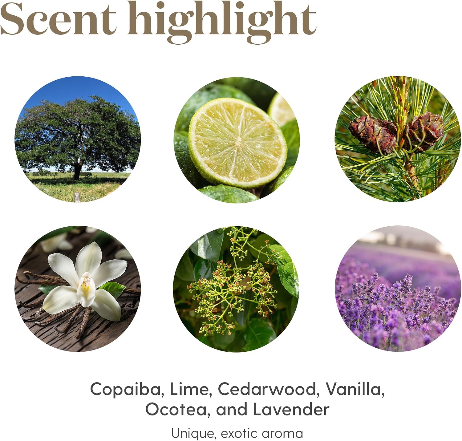 Young Living Thieves Vitality Essential Oil Blend | 5 ml | Warm Spicy Herbal Aroma for Diffusers, Massage & Aromatherapy | Clove, Lemon, Cinnamon, Eucalyptus & Rosemary Blend | Seed to Seal Quality