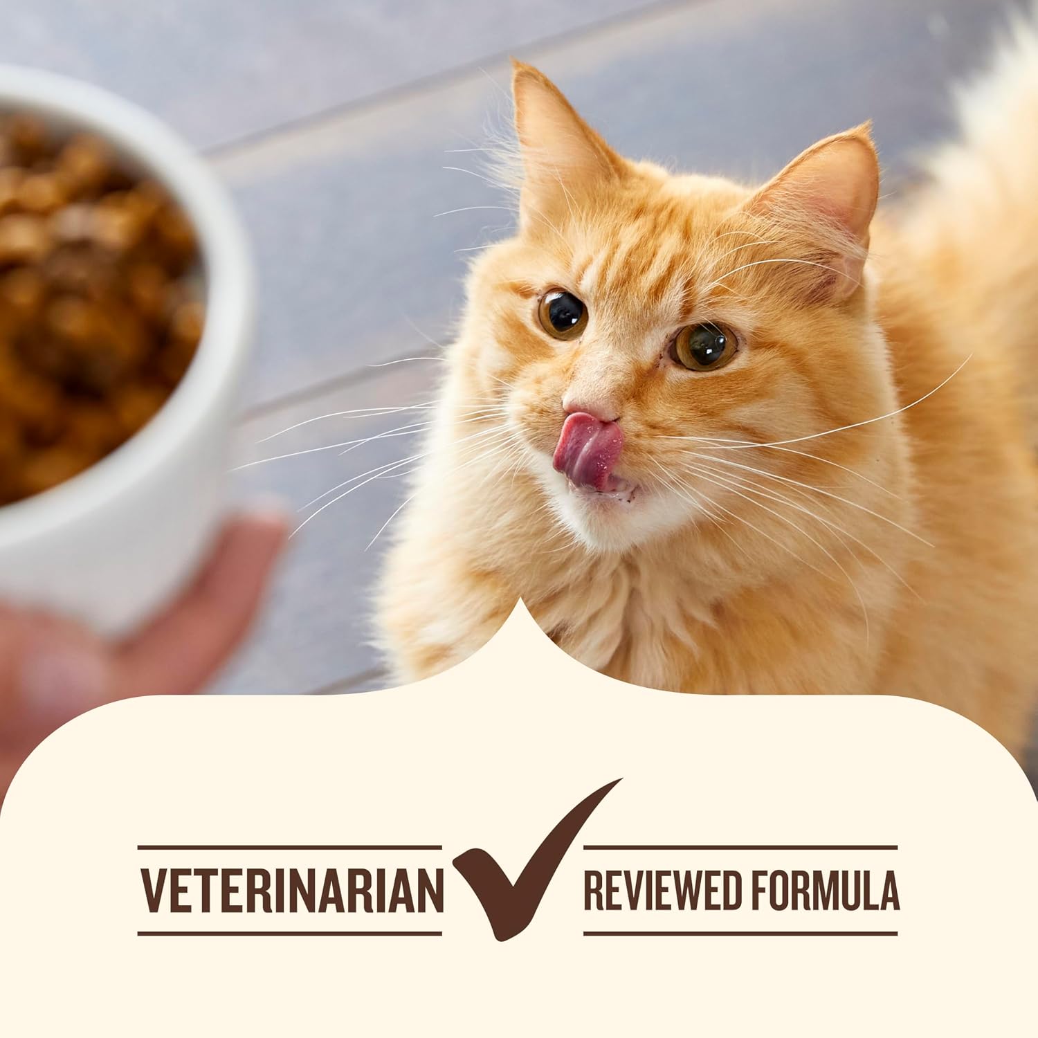 Nutrish Indoor Complete Dry Cat Food, 3 lb. Bag (Rachael Ray) | Chicken, Lentils & Salmon Recipe, Crafted for Adult Indoor Cats, Veterinarian Reviewed Formula