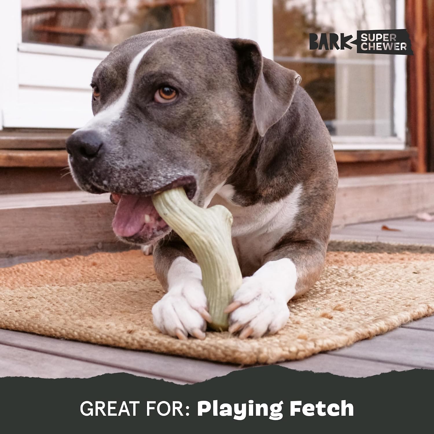 BarkBox Turkey Super Chewer - Toy for Large Dogs