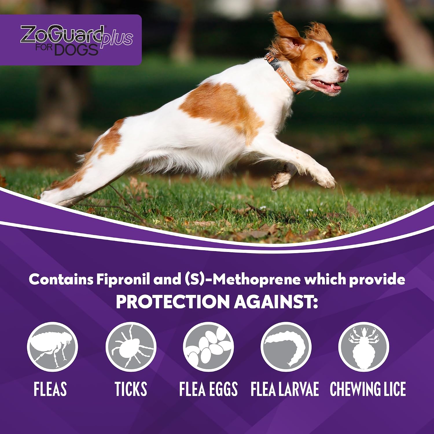ZoGuard Plus Flea and Tick Prevention for Medium Dogs – Flea & Tick Prevention for Dogs 23-44lbs (3 Doses)