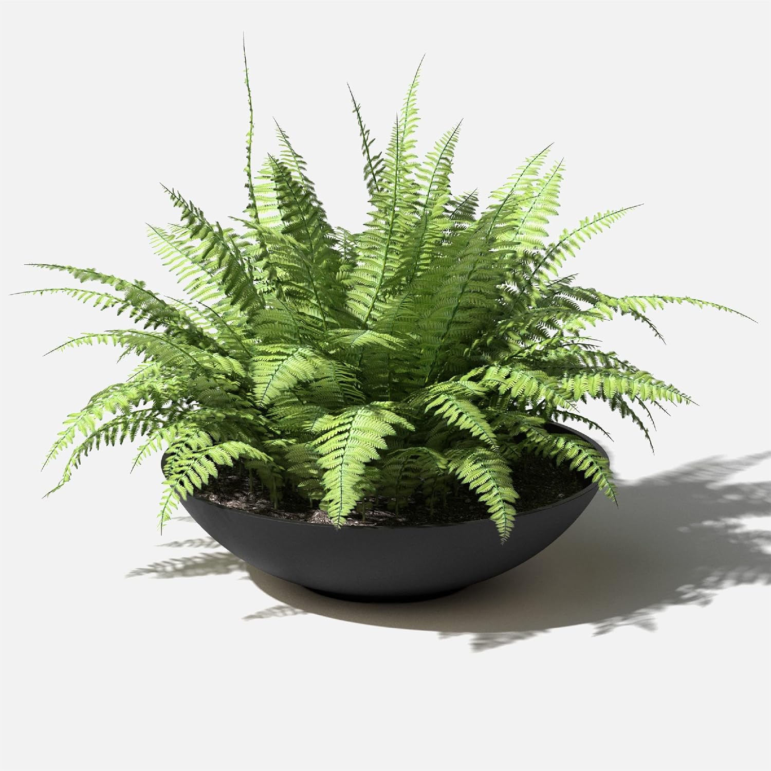 Veradek Mason Series Lane Bowl - Large Outdoor Bowl Planter | Made From a Durable Plastic-Stone Composite With Pre-Drilled Drainage Holes. Modern Patio/Tabletop Décor