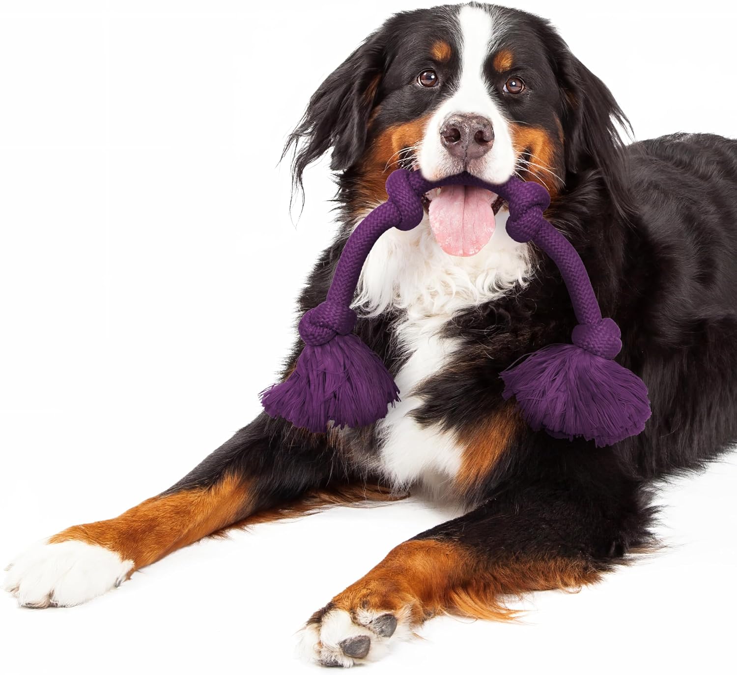 Playology Tug Rope Dog Toys for Large Breed Dogs - Jumbo, Beef Scent