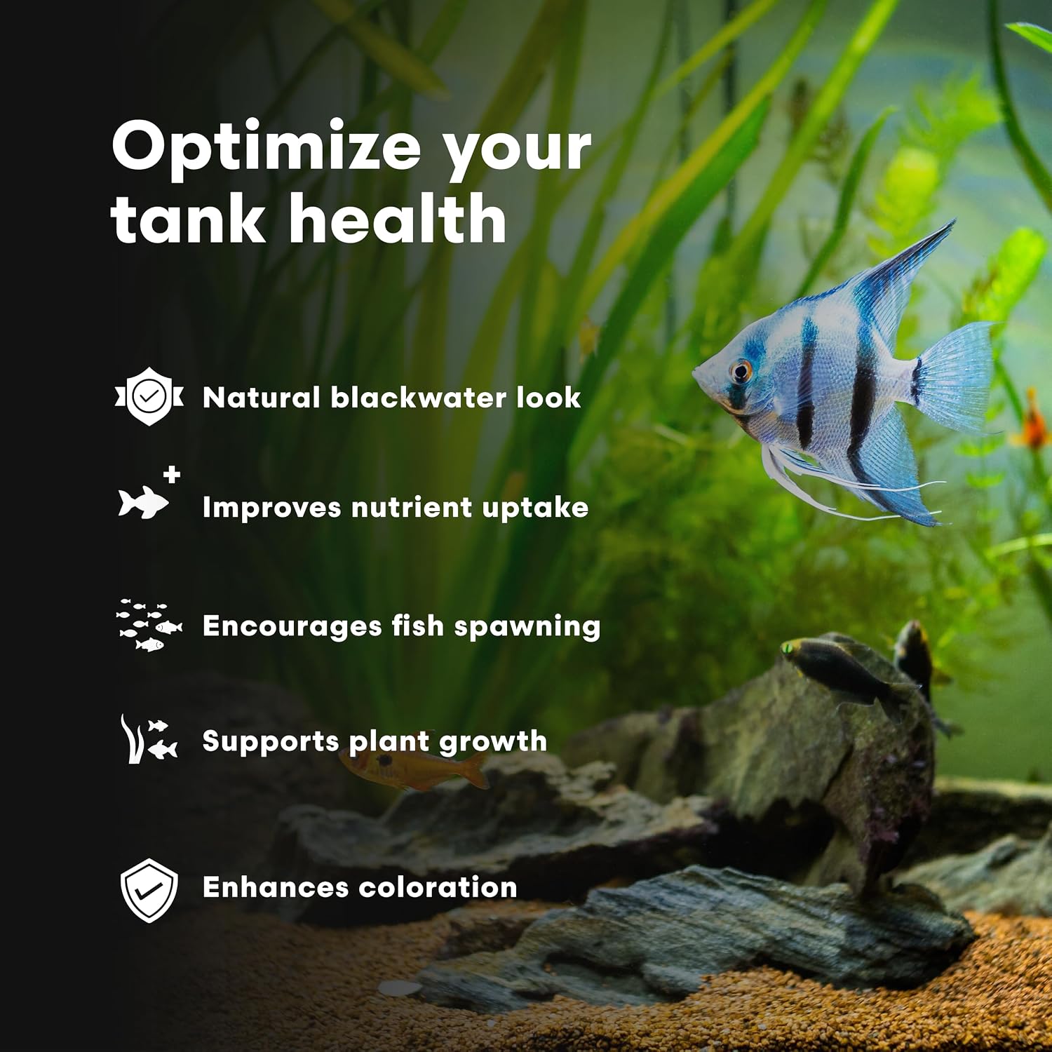 Brightwell Aquatics BlackWater Humic & Fulvic Acid for Aquariums, 250 ml