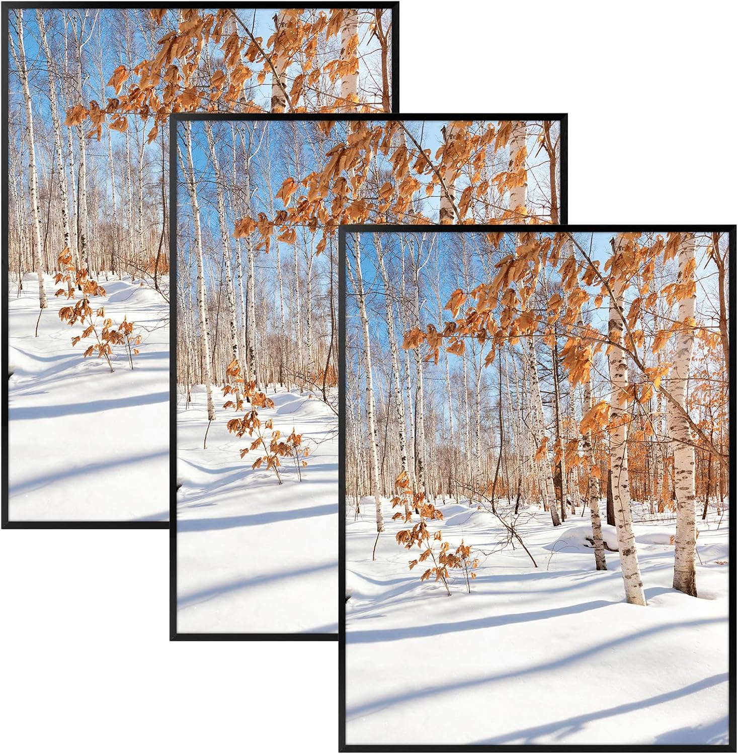 Golden State Art 3 Pack 12x12 Black Aluminum Frames, Real Glass Fronts