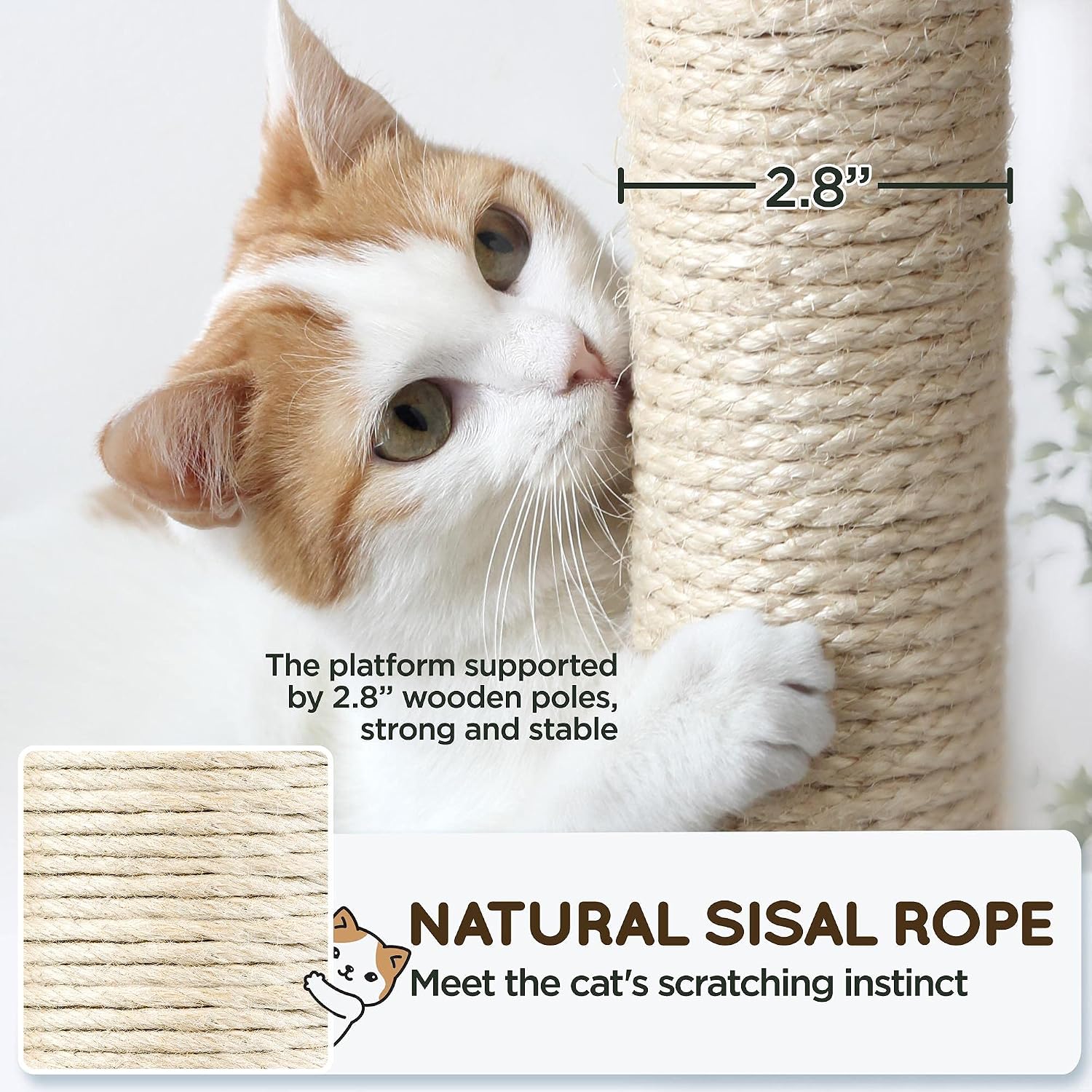Yaheetech 63in Sturdy Large Cat Tree for Indoor Heavy Cats, Tall Tower