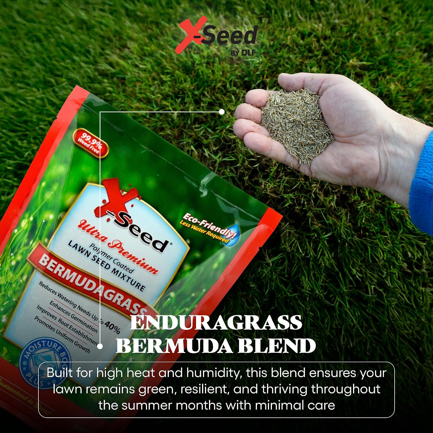 X-Seed Moisture Boost Plus Bermuda Grass Seed for Lawn, Grows Thick in Full Sunlight, Drought & Heat Tolerant, Uses Less Water Than Other Grasses