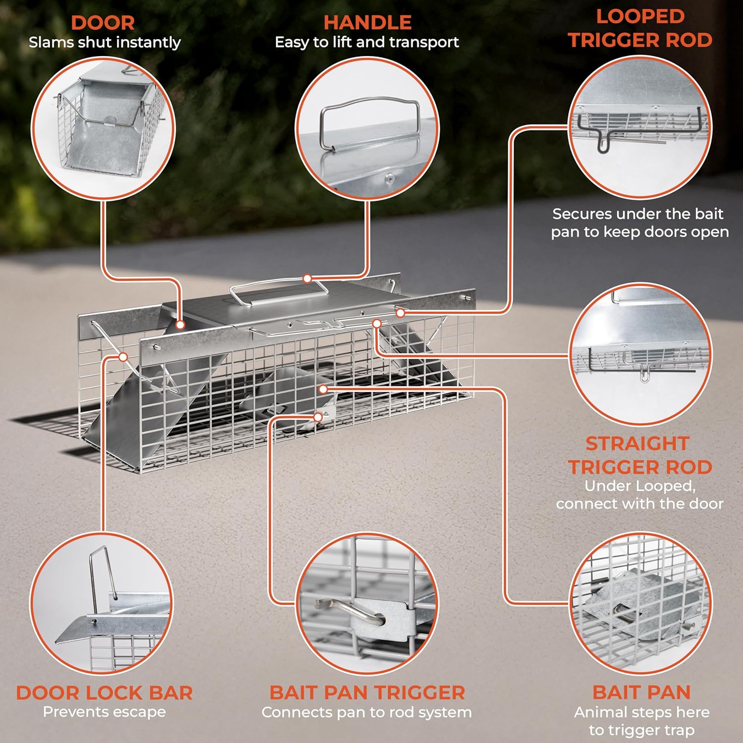 HOMESTEAD Heavy Duty Live Trap - Professional Style One-Door Live Animal Traps for Rabbit, Squirrel, Possum, Skunk, Kitten, Mink Small