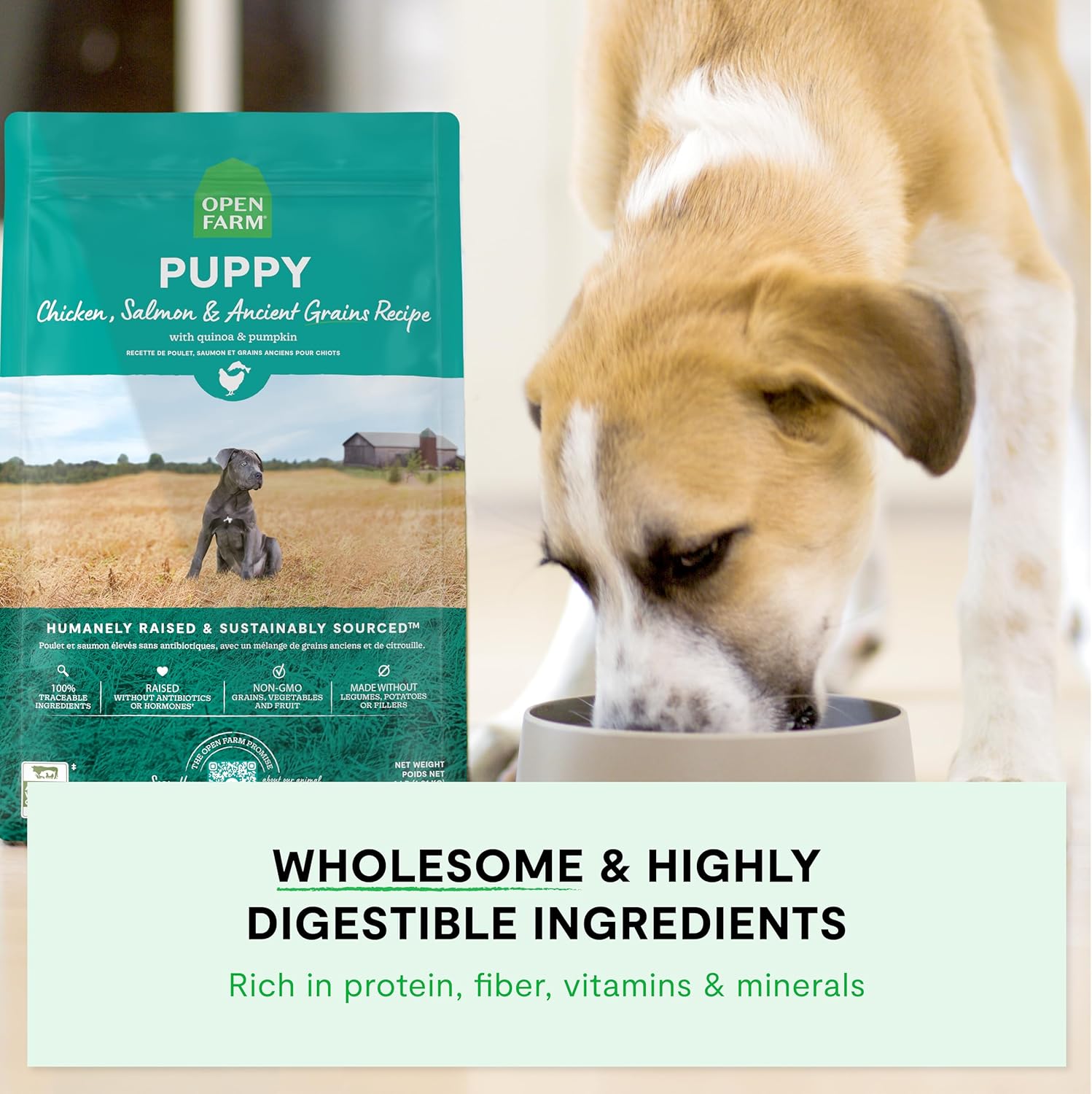 Open Farm Ancient Grains Dry Puppy Food, Chicken & Salmon Kibble, 4lb Bag