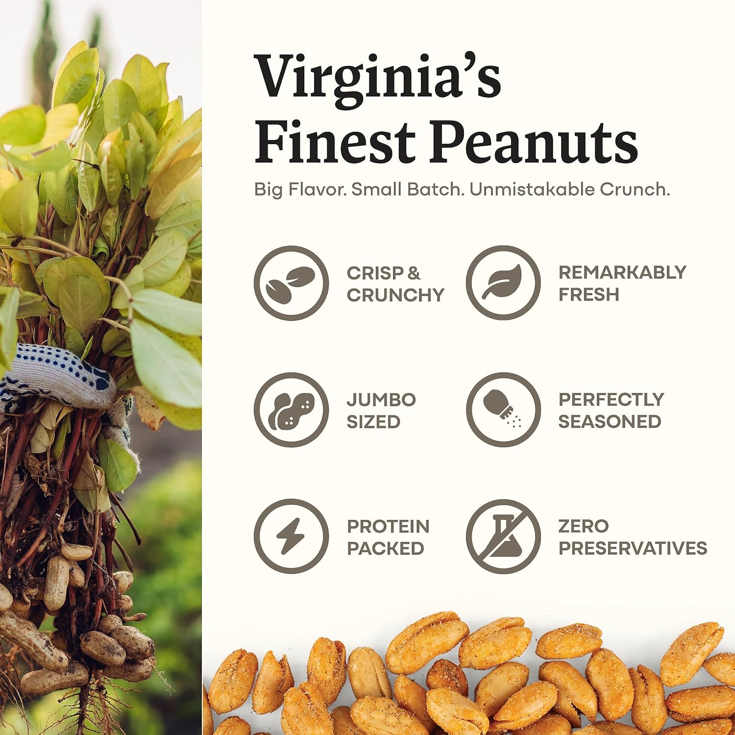 Belmont Peanuts Gourmet Sea-Salted Virginia Peanuts, 20 oz (1 Pack) – Only 3 Simple Ingredients, No Preservatives, 7g Protein – A Premium, Salty, Crunchy, Hand Seasoned Snack