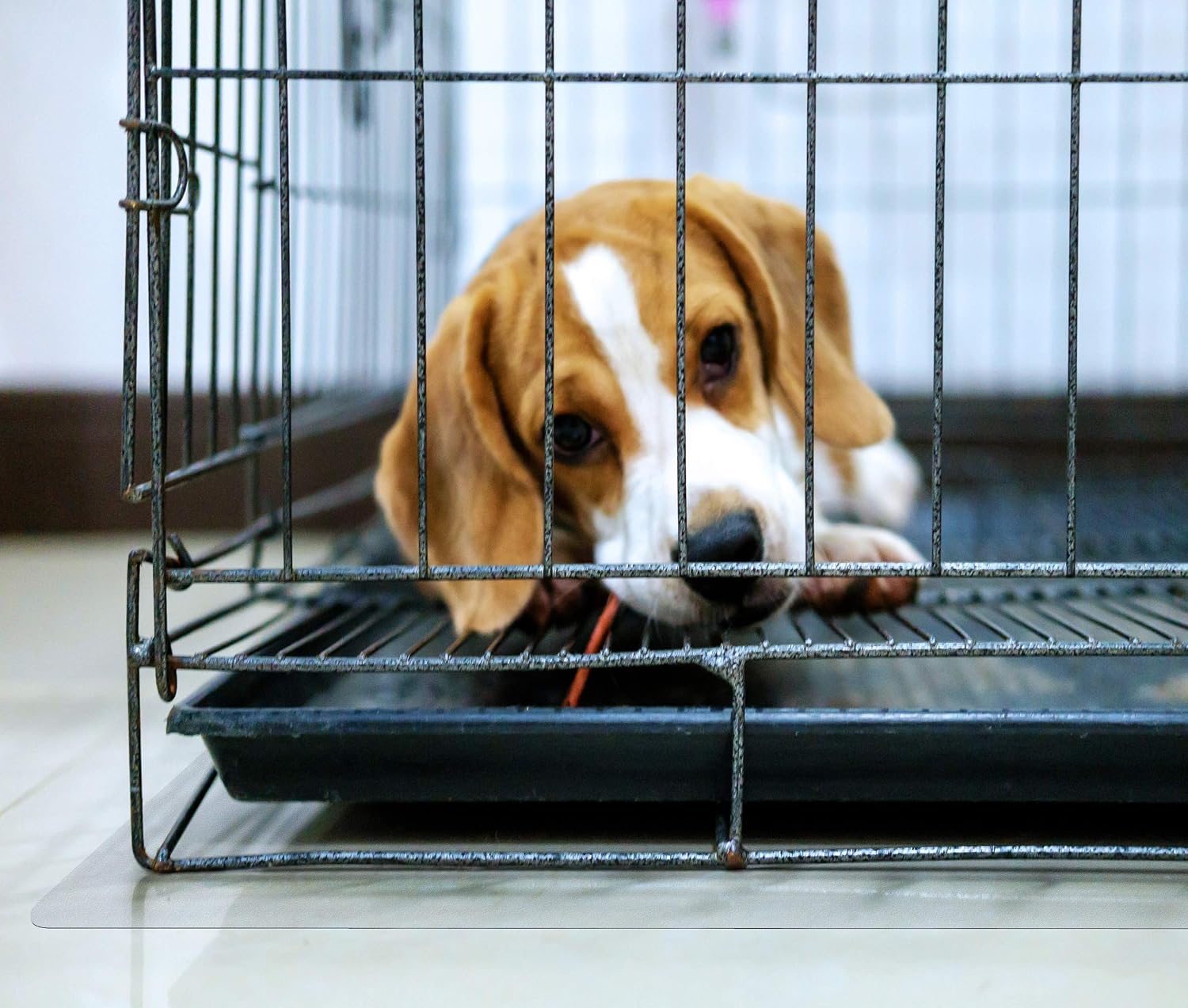 FLRFCCAGE89ER - Tex Polycarbonate Dog Crate Floor Protector 35 x 47
