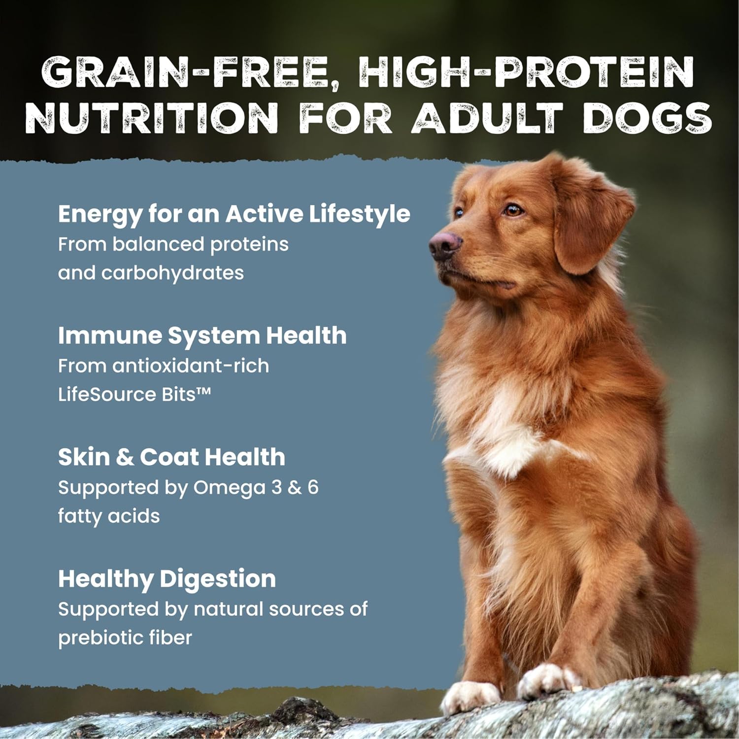 Blue Buffalo Wilderness Chicken Adult Dry Dog Food, Grain-Free, 24 lb | 39g Protein, Real Chicken #1 Ingredient, Supports Immunity with Antioxidant-Rich LifeSource Bits, Promotes Healthy Muscles