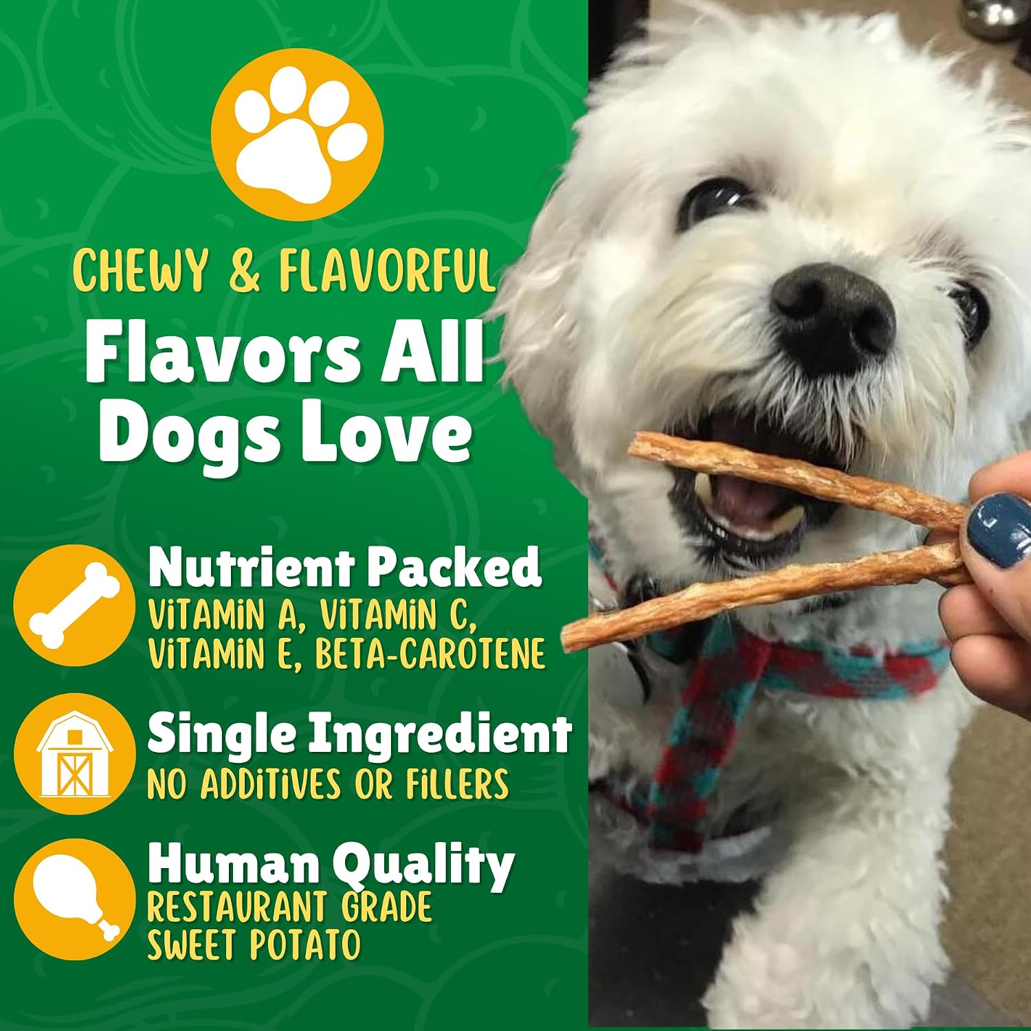 Chicken Jerky Straws Dog Treats – Chicken Sticks for Dogs Made and Sourced in The USA – Natural Single Ingredient Dehydrated Crunchy Treats for All Breeds – 28oz Bag