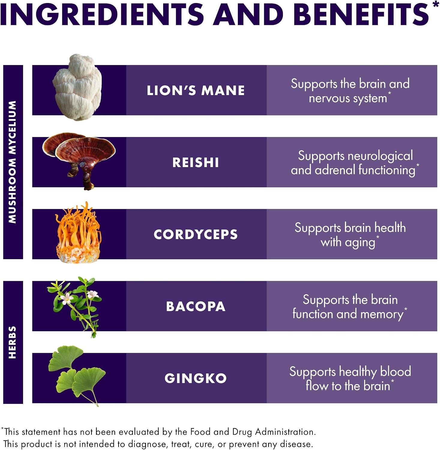 Host Defense MycoBotanicals Brain* Capsules - Brain Support Supplement with Lion's Mane, Reishi & Cordyceps Mushroom - Herbal Supplement for Memory & Focus Support - 60 Capsules