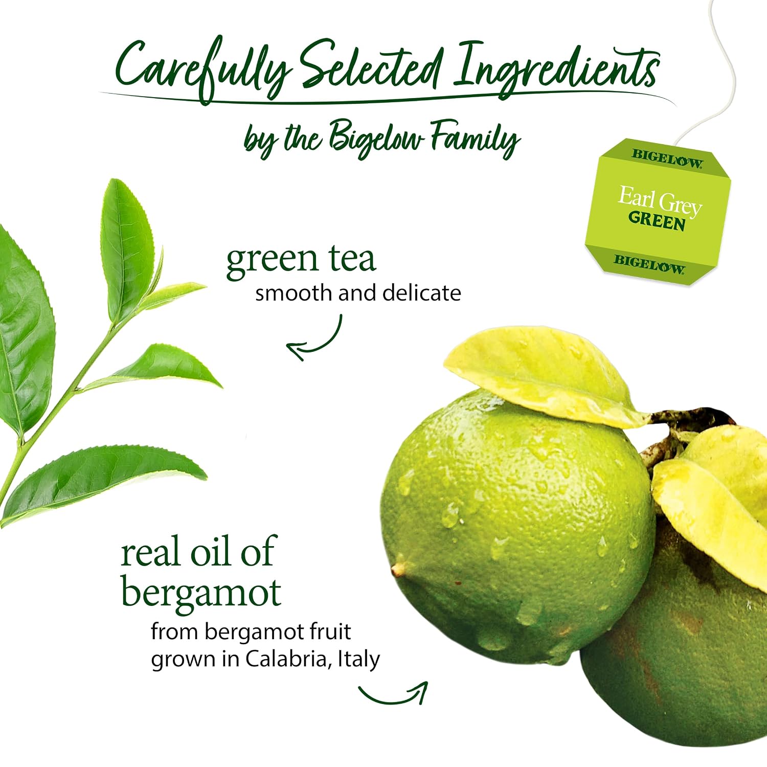 Bigelow Tea Classic Green Tea Bags, 40 Count (Pack of 6)