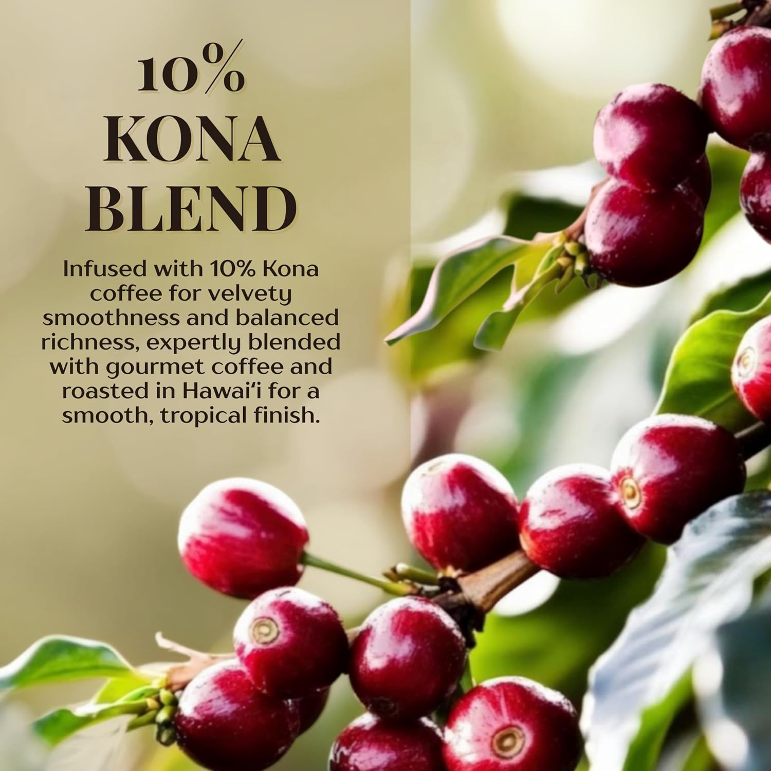 ROYAL KONA COFFEE - Medium Roast Ground Coffee, Vanilla Macadamia Flavor, 8 Ounce