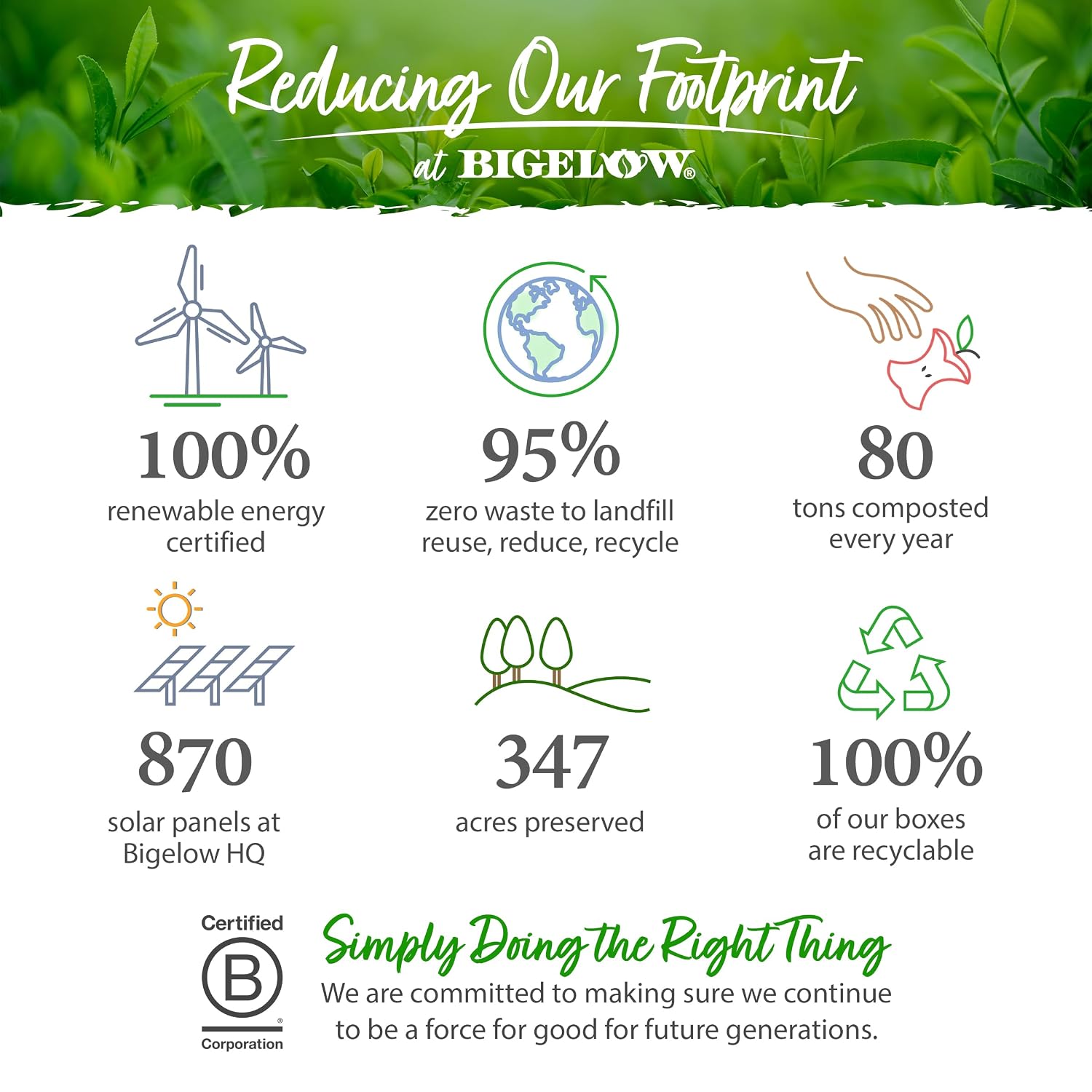 Bigelow Tea Green Tea Assortment, 64 Count (Pack of 1) | Individually Wrapped Tea Bags with Classic, Decaffeinated, Mint, Peach, Constant Comment, Lemon, Mango, and Earl Grey Teas