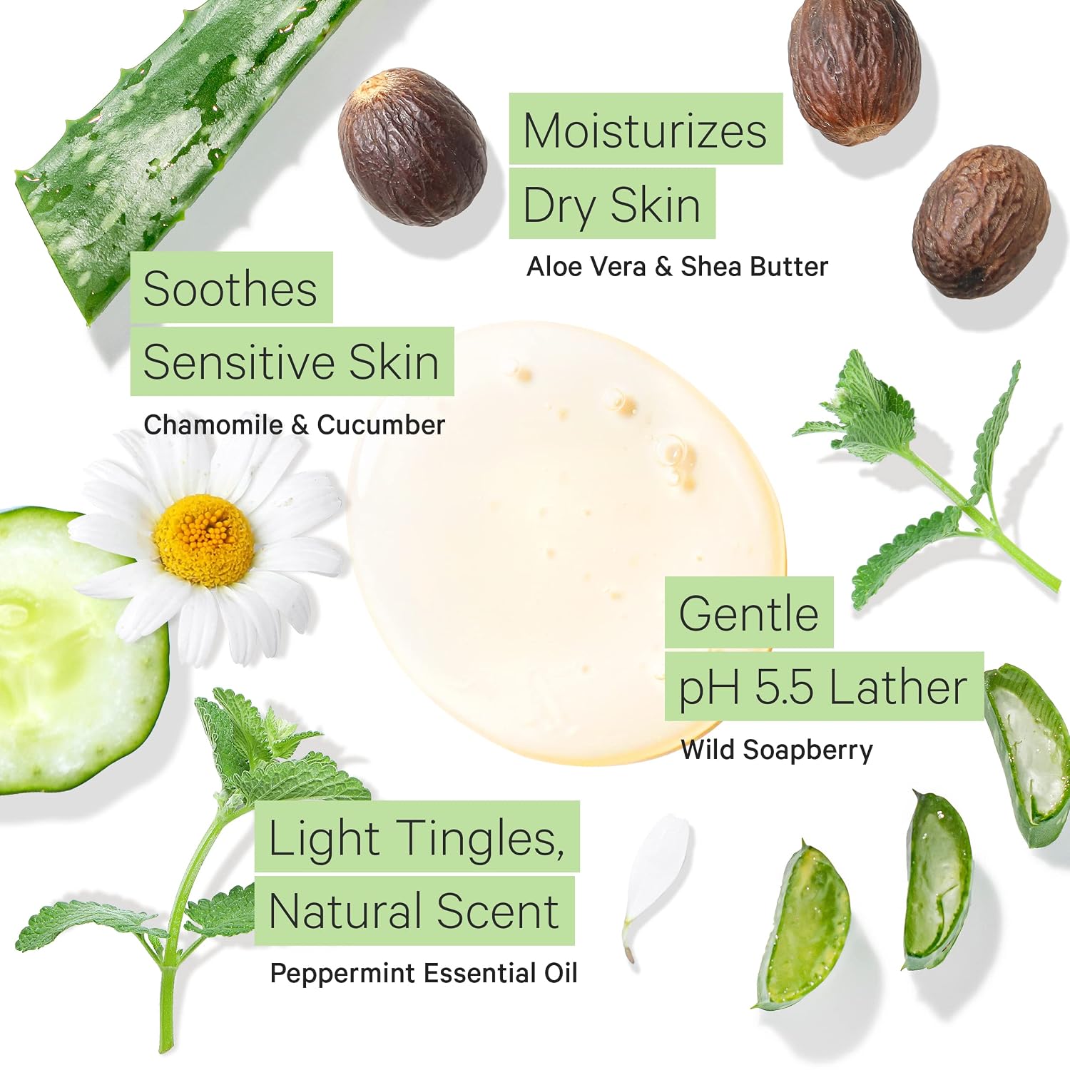 Tree To Tub Soapberry Body Wash for Dry, Sensitive Skin, pH 5.5, 8.5 Fl Oz | Sulfate & Paraben-Free, Rich Lather, Fragrance-Free, Shea Butter & Aloe Vera, Vegan & Cruelty-Free, Gentle for Daily Use