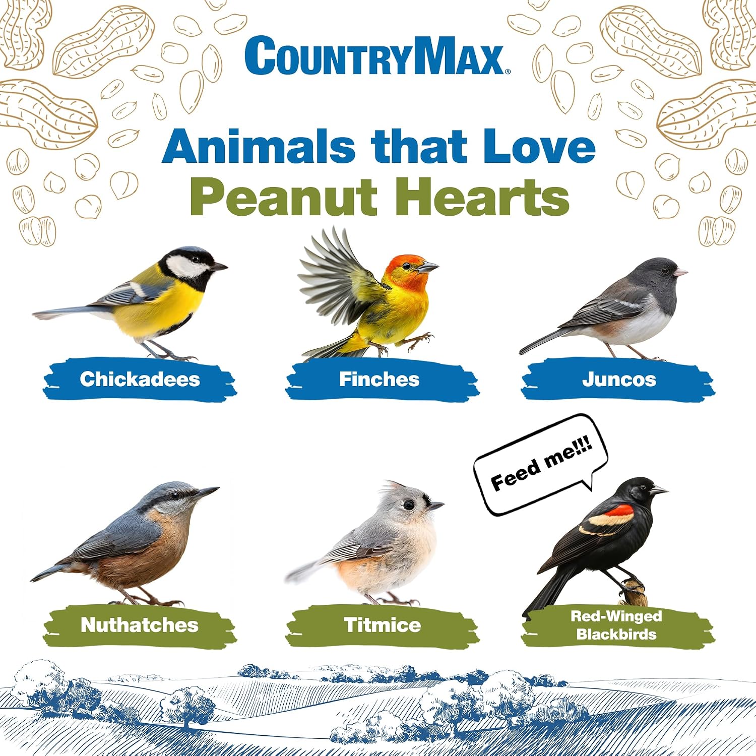 CountryMax Backyard Seeds Shelled Whole Peanuts for Woodpeckers, Birds, Squirrels & Wildlife – Premium Wild Animal Food, 10 lbs Bag
